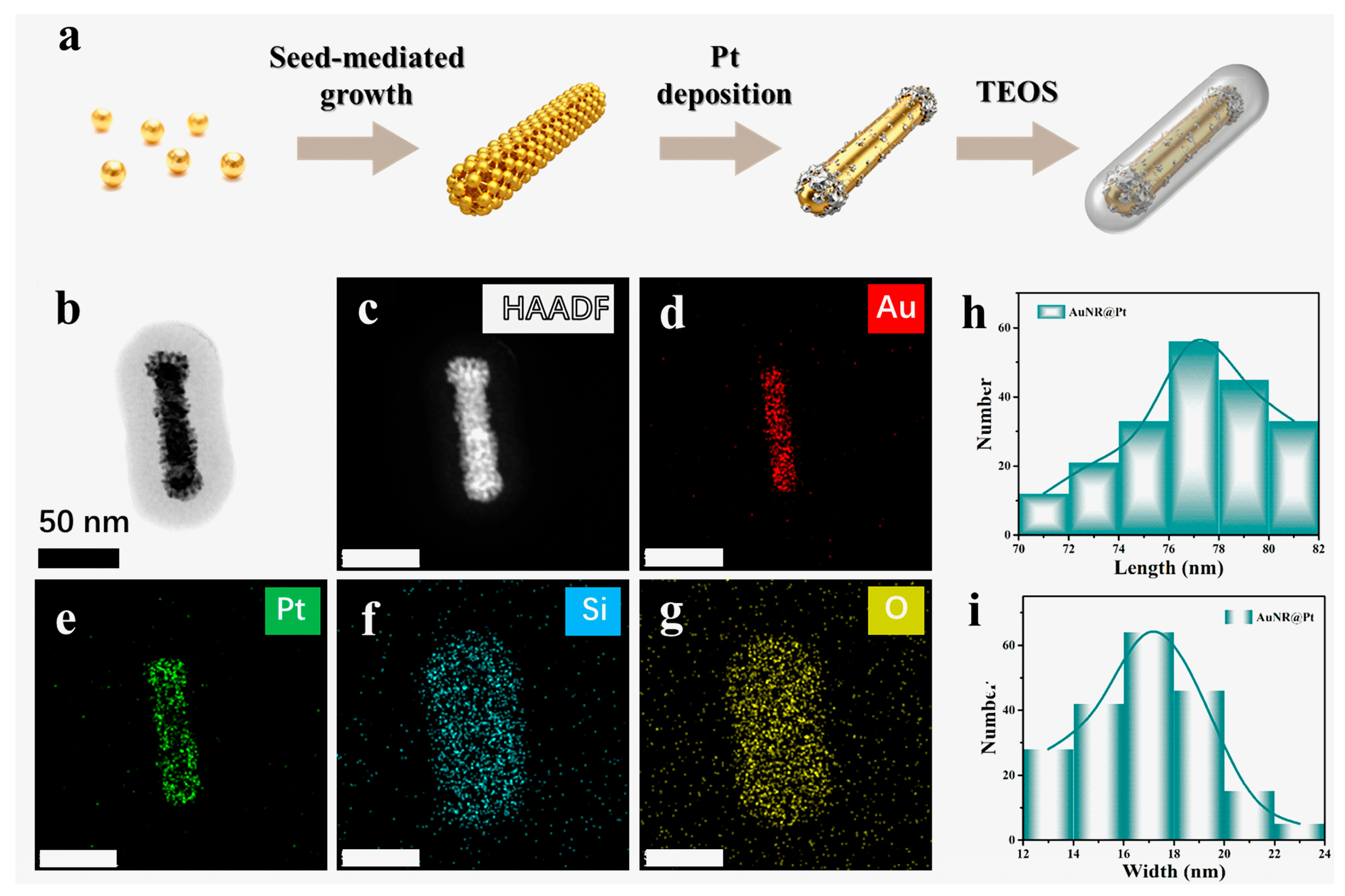 Biosensors 16 00089 g002 Biosensors 16 00089 g002