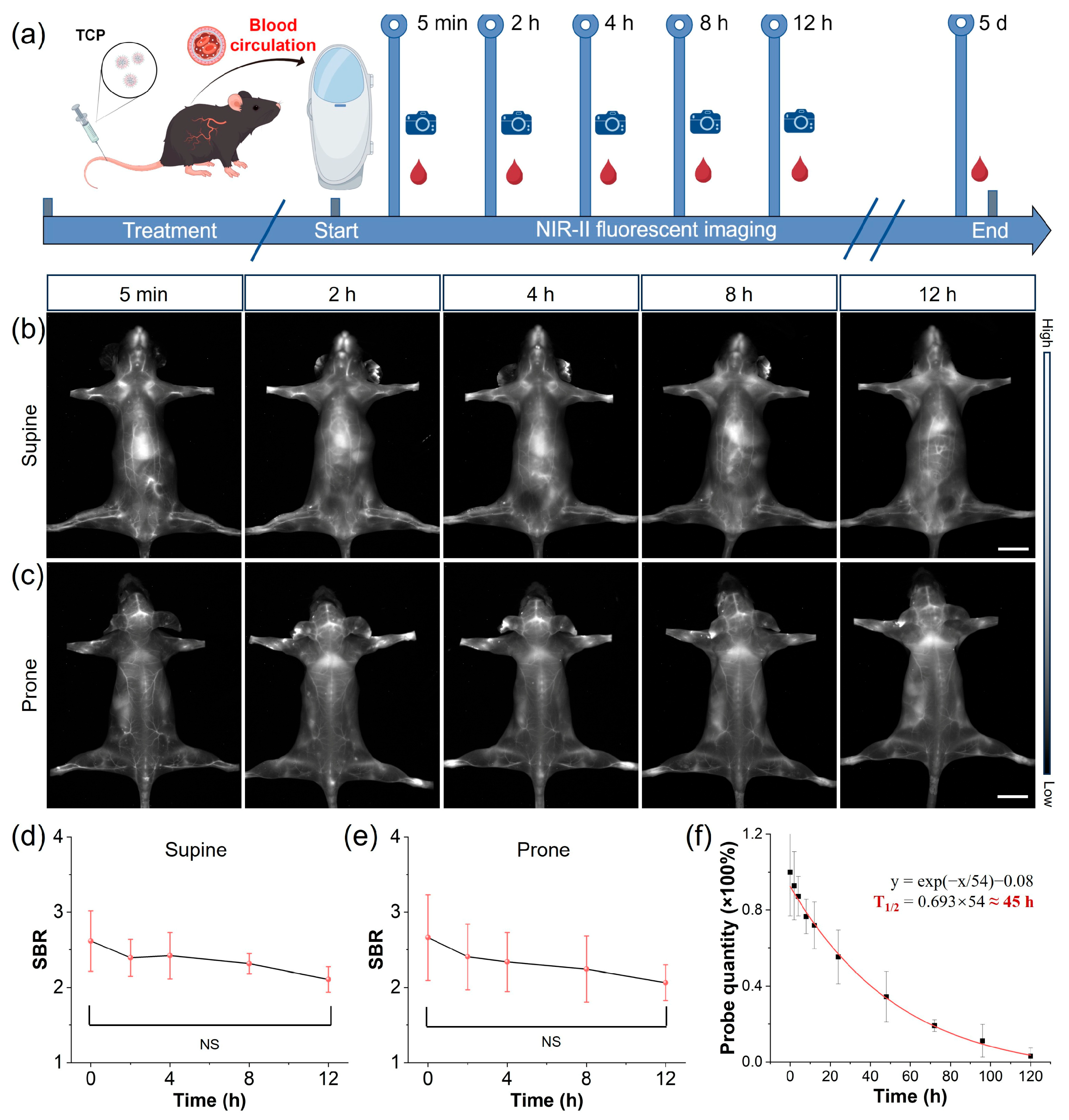 Biosensors 16 00090 g002 Biosensors 16 00090 g002