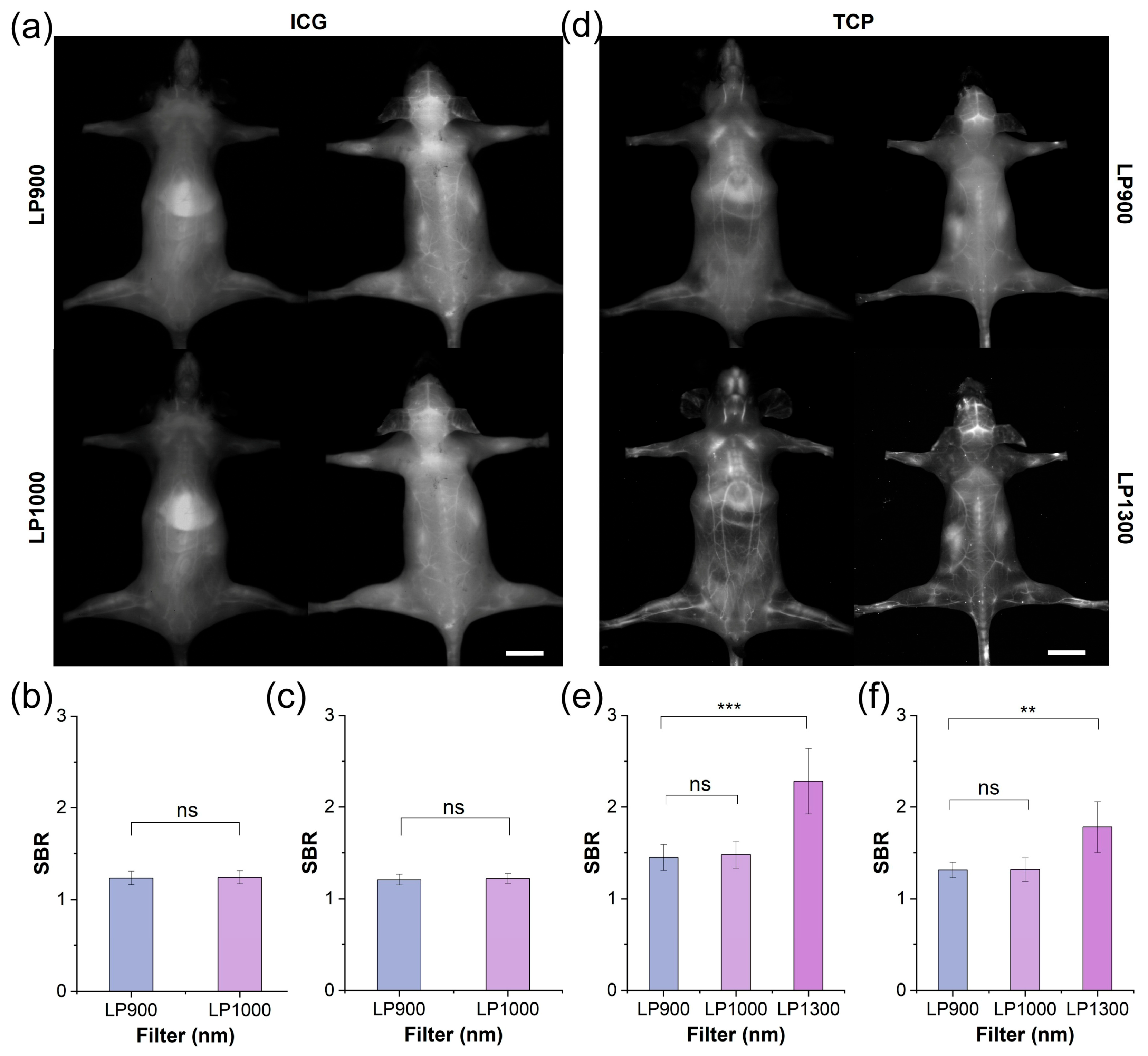 Biosensors 16 00090 g003 Biosensors 16 00090 g003