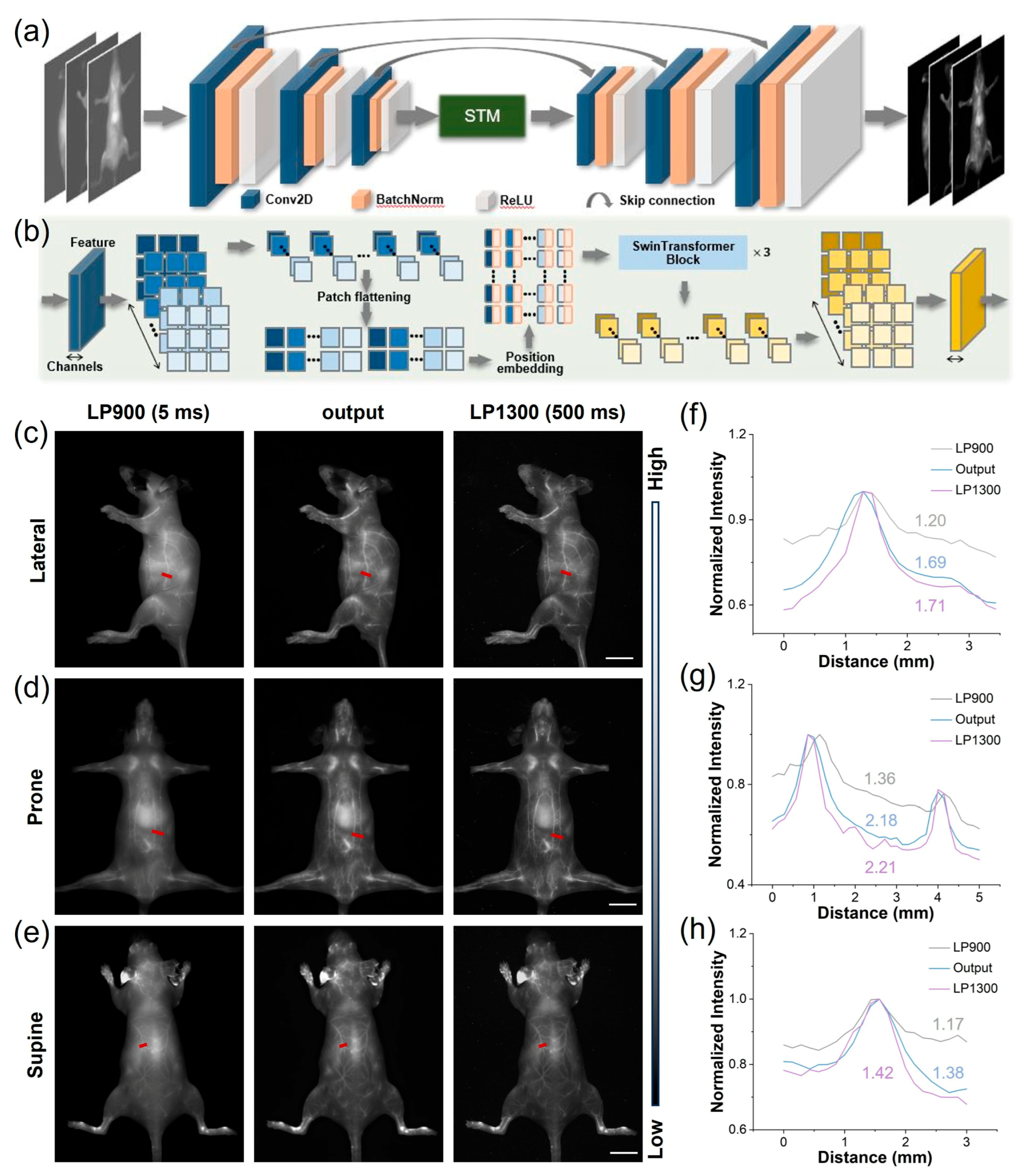 Biosensors 16 00090 g005 Biosensors 16 00090 g005