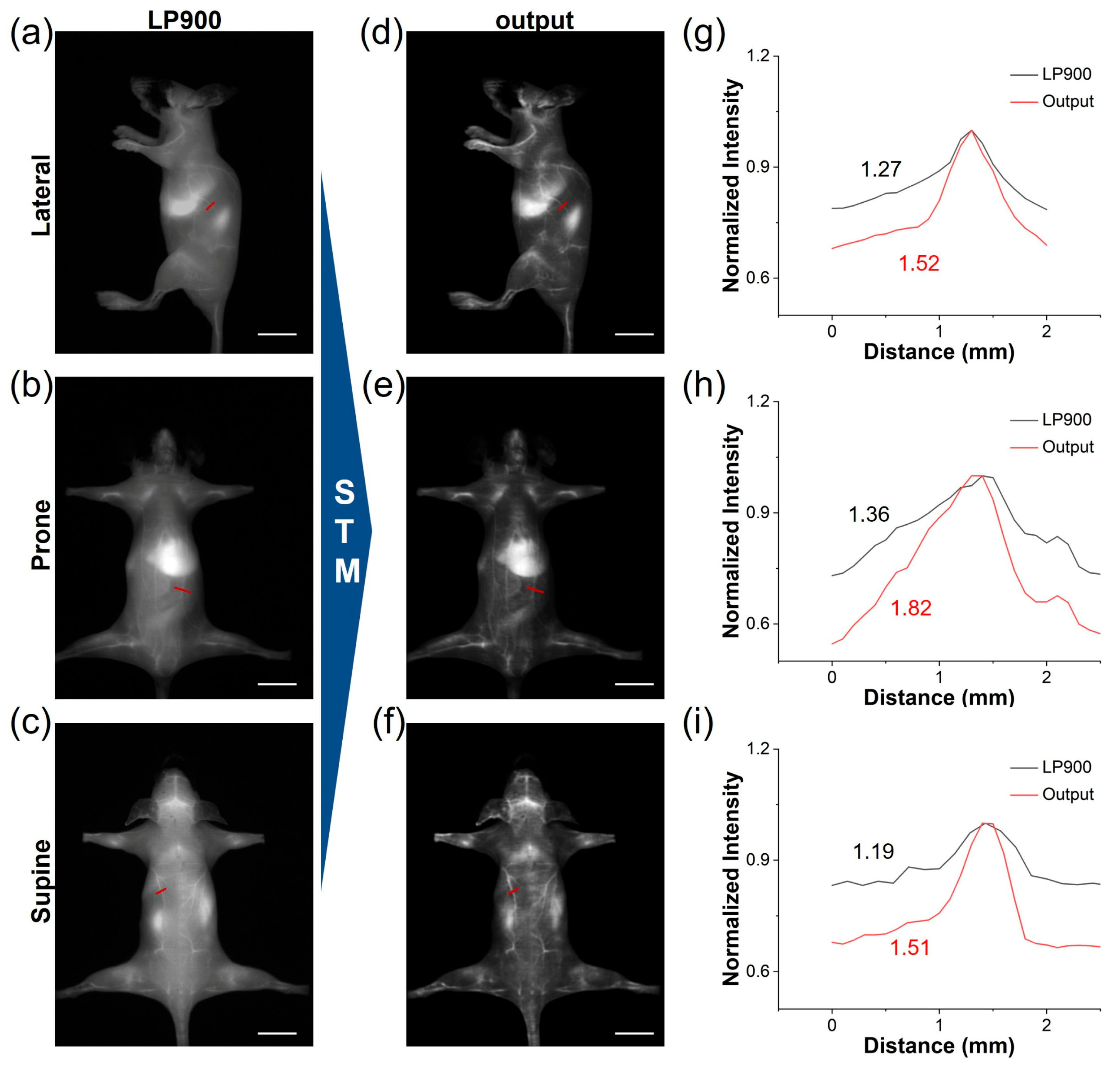Biosensors 16 00090 g006 Biosensors 16 00090 g006