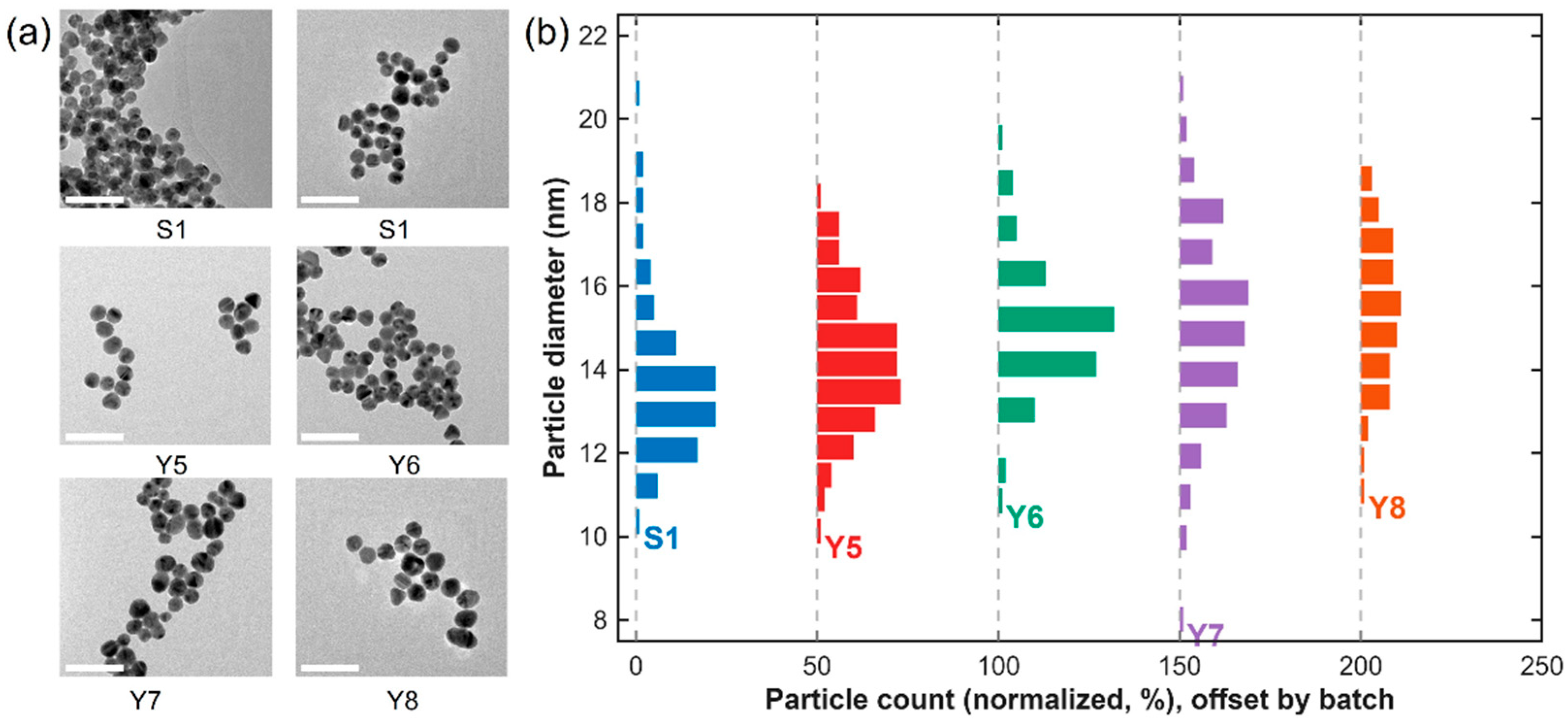 Biosensors 16 00128 g002