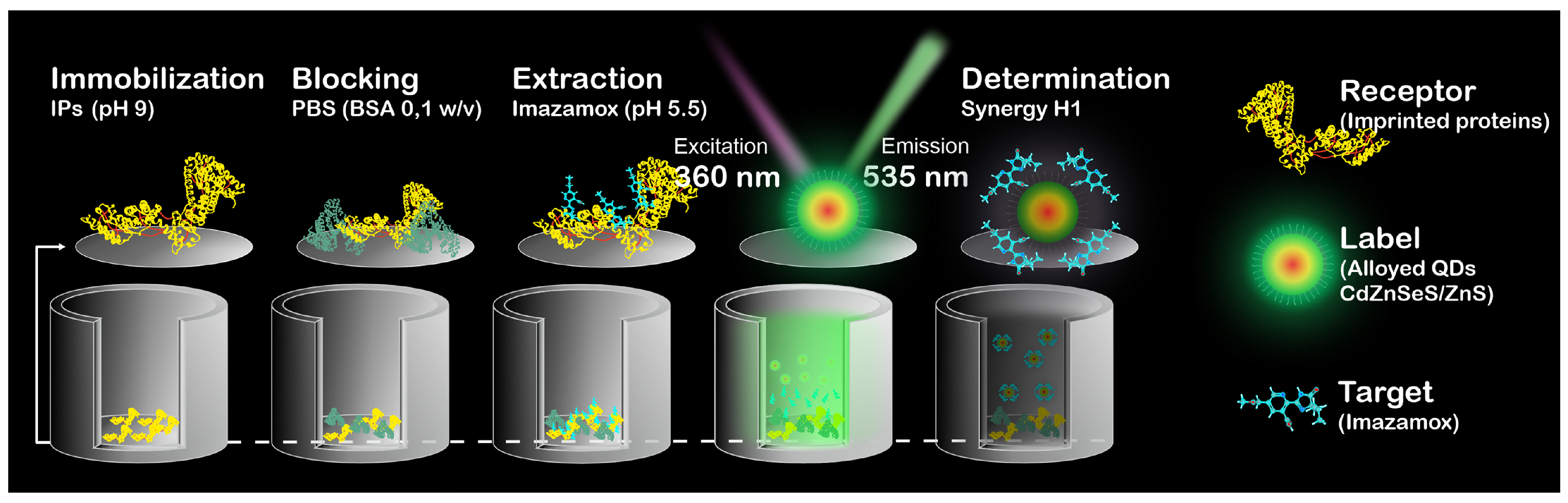 Biosensors 16 00149 g001 Biosensors 16 00149 g001