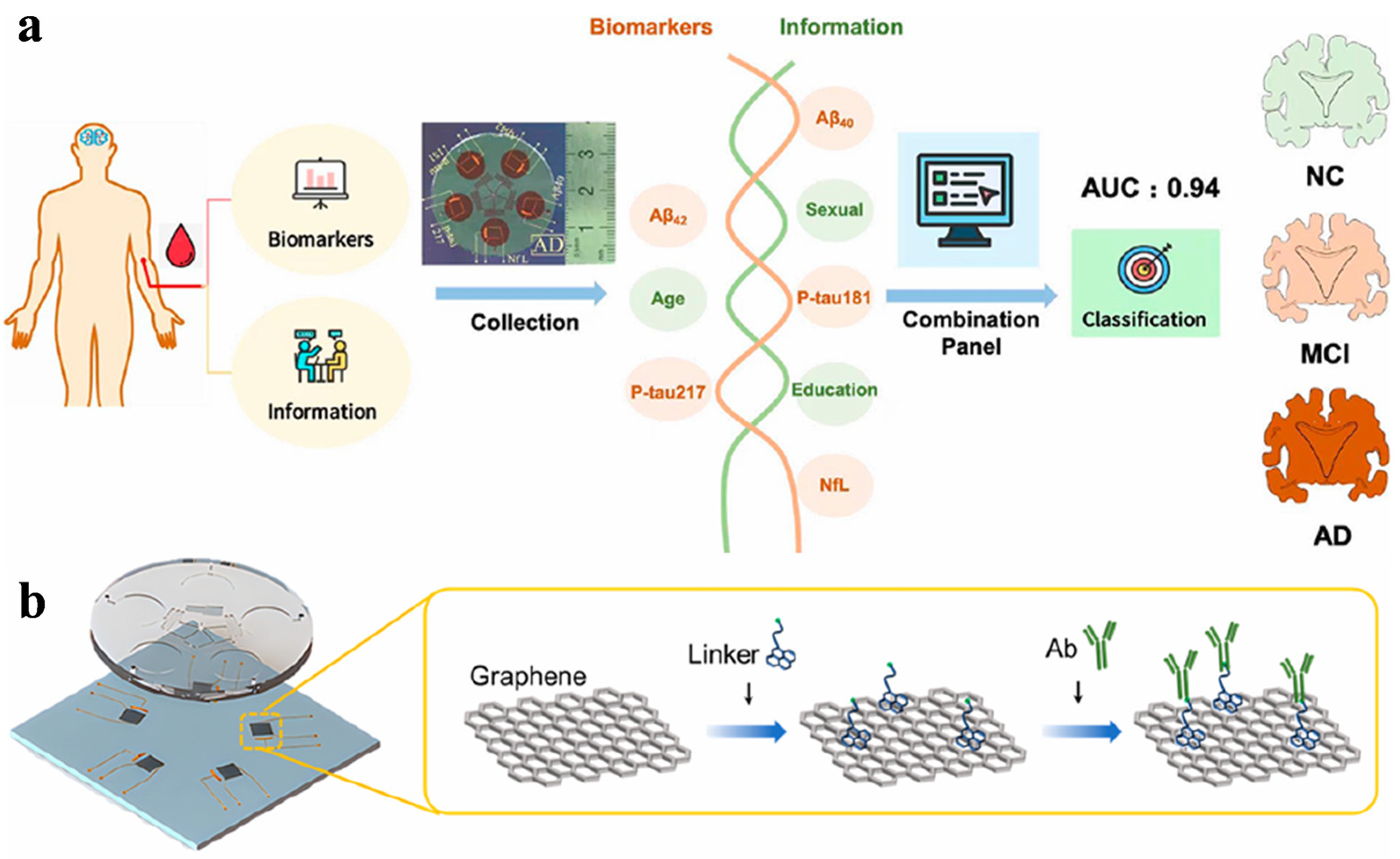 Biosensors 16 00161 g003 Biosensors 16 00161 g003
