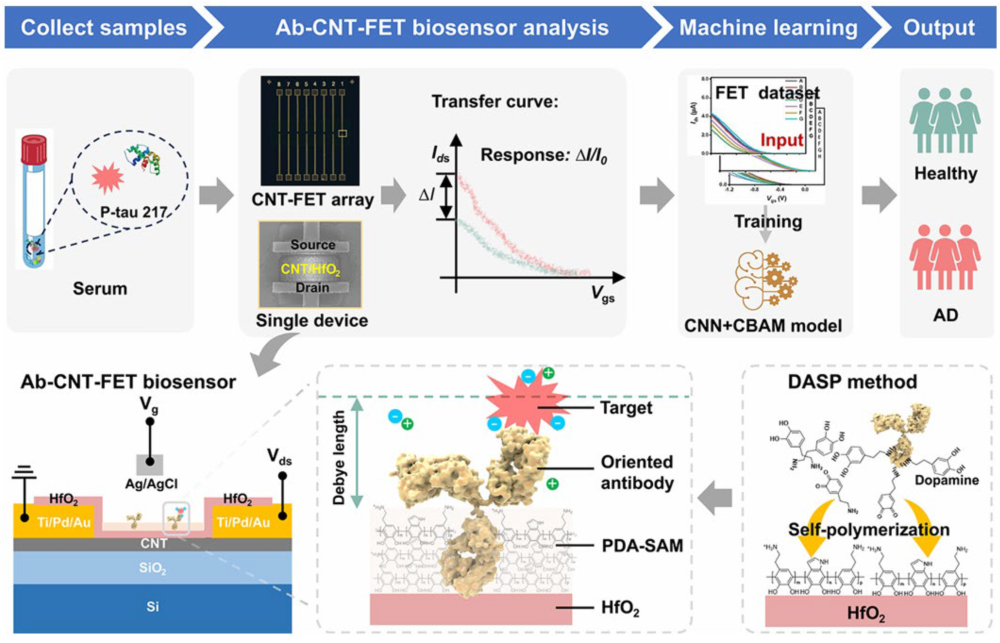 Biosensors 16 00161 g004 Biosensors 16 00161 g004