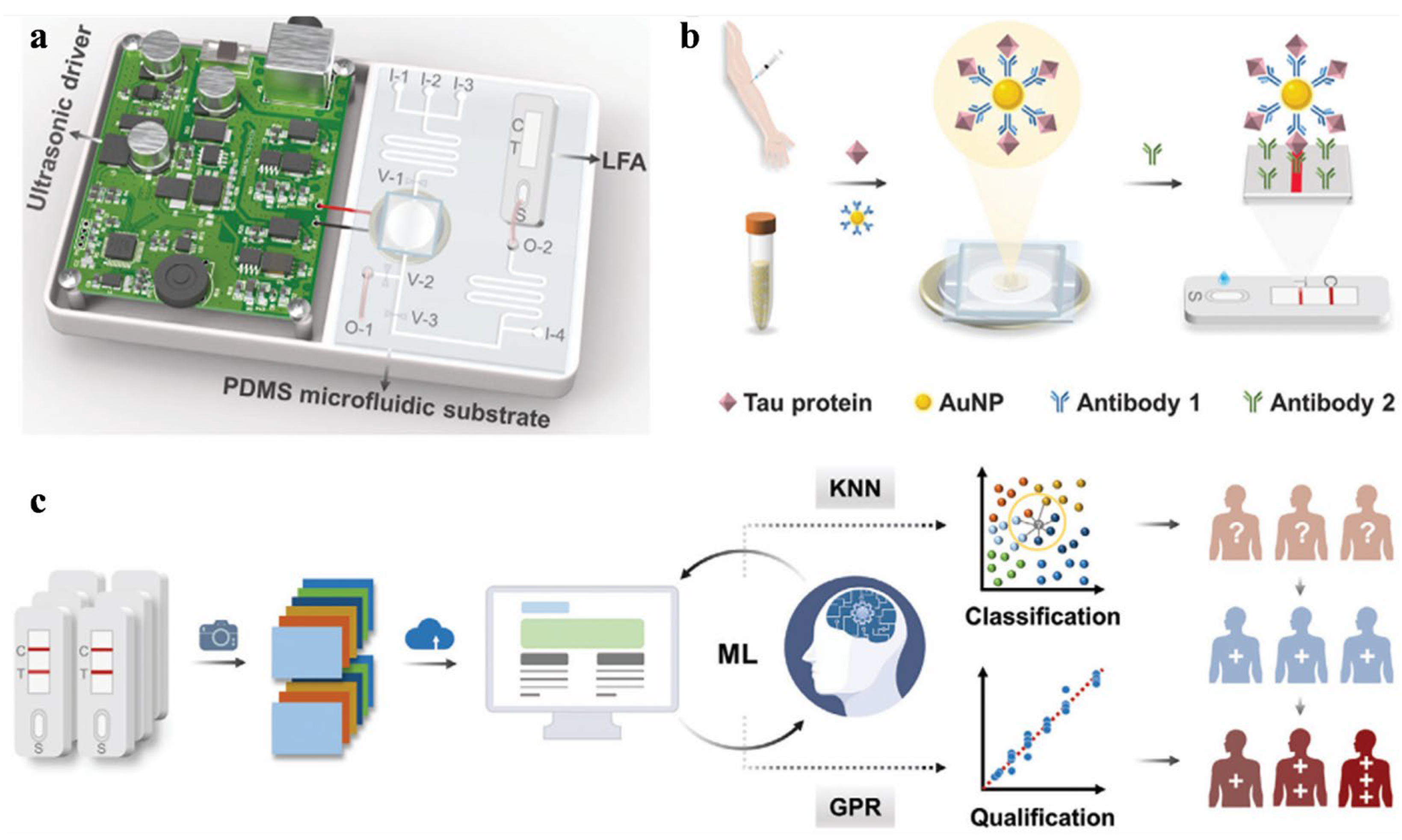 Biosensors 16 00161 g005 Biosensors 16 00161 g005