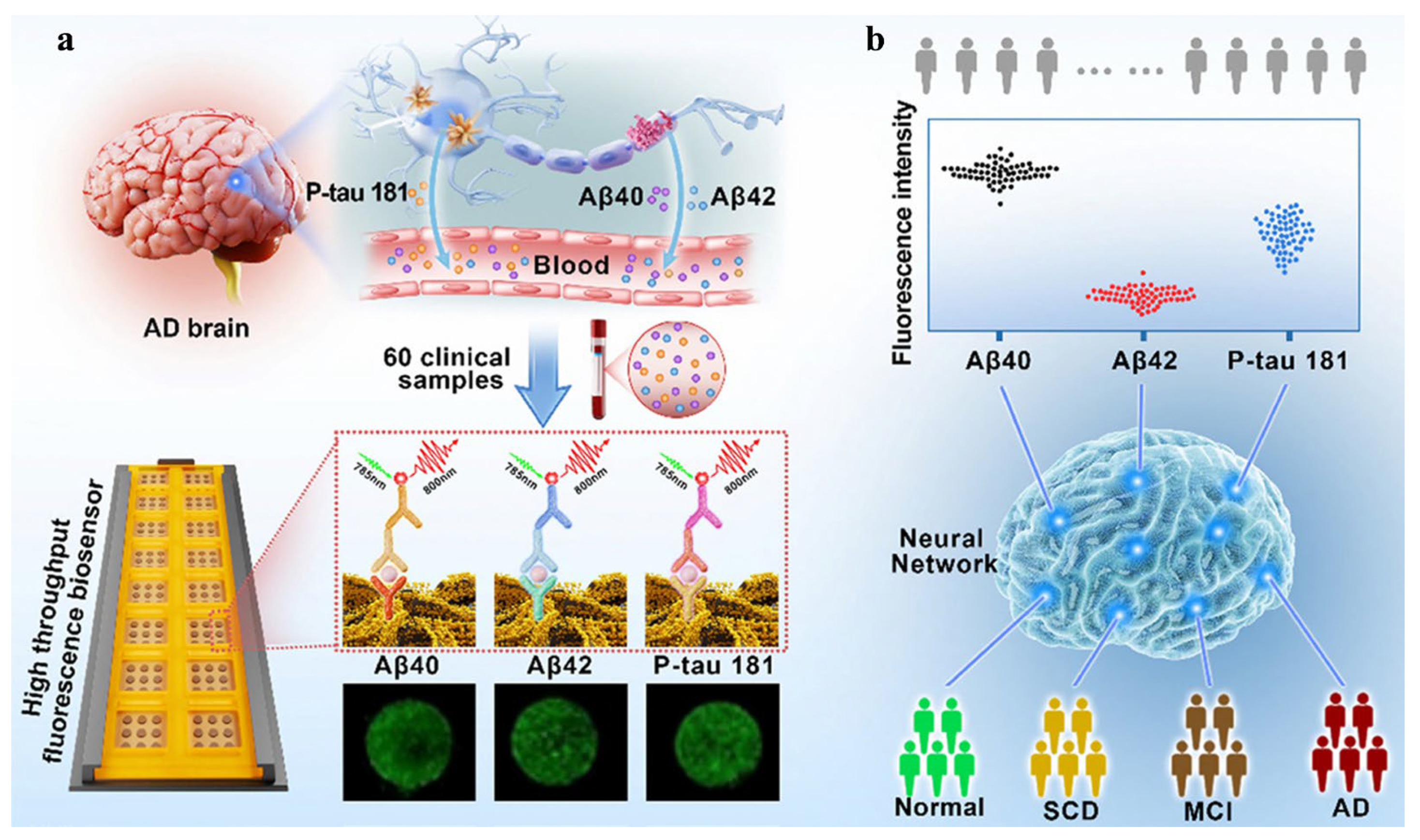 Biosensors 16 00161 g007 Biosensors 16 00161 g007