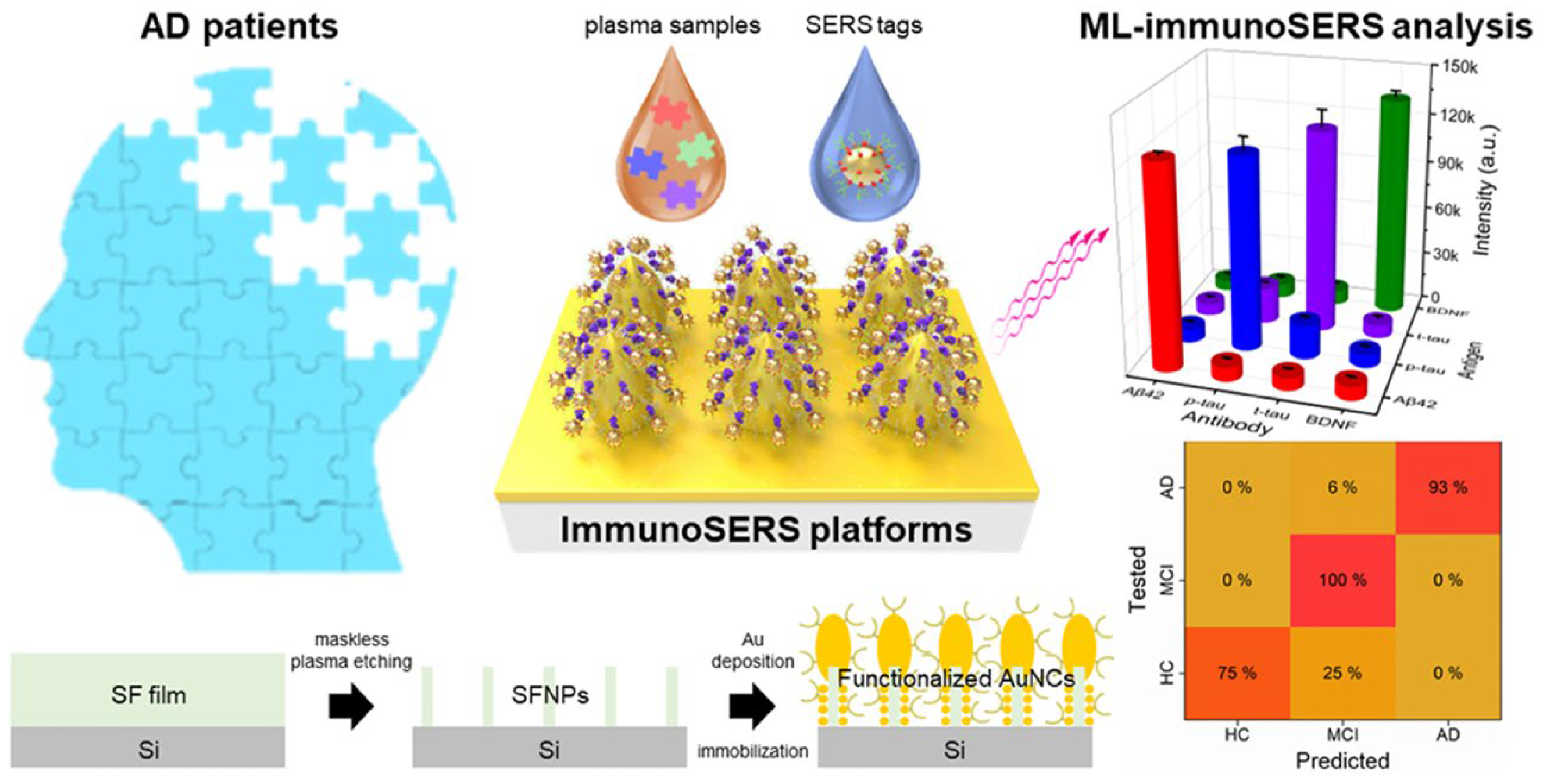 Biosensors 16 00161 g010 Biosensors 16 00161 g010