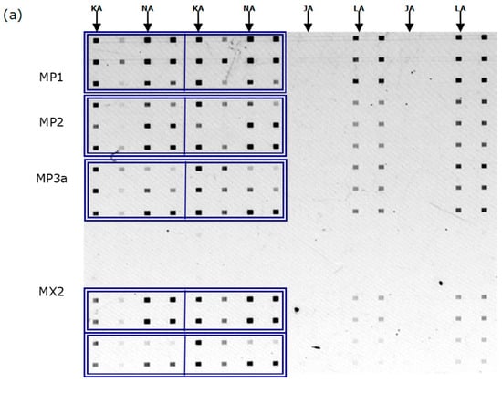 Biosensors 16 00231 g005a Biosensors 16 00231 g005a