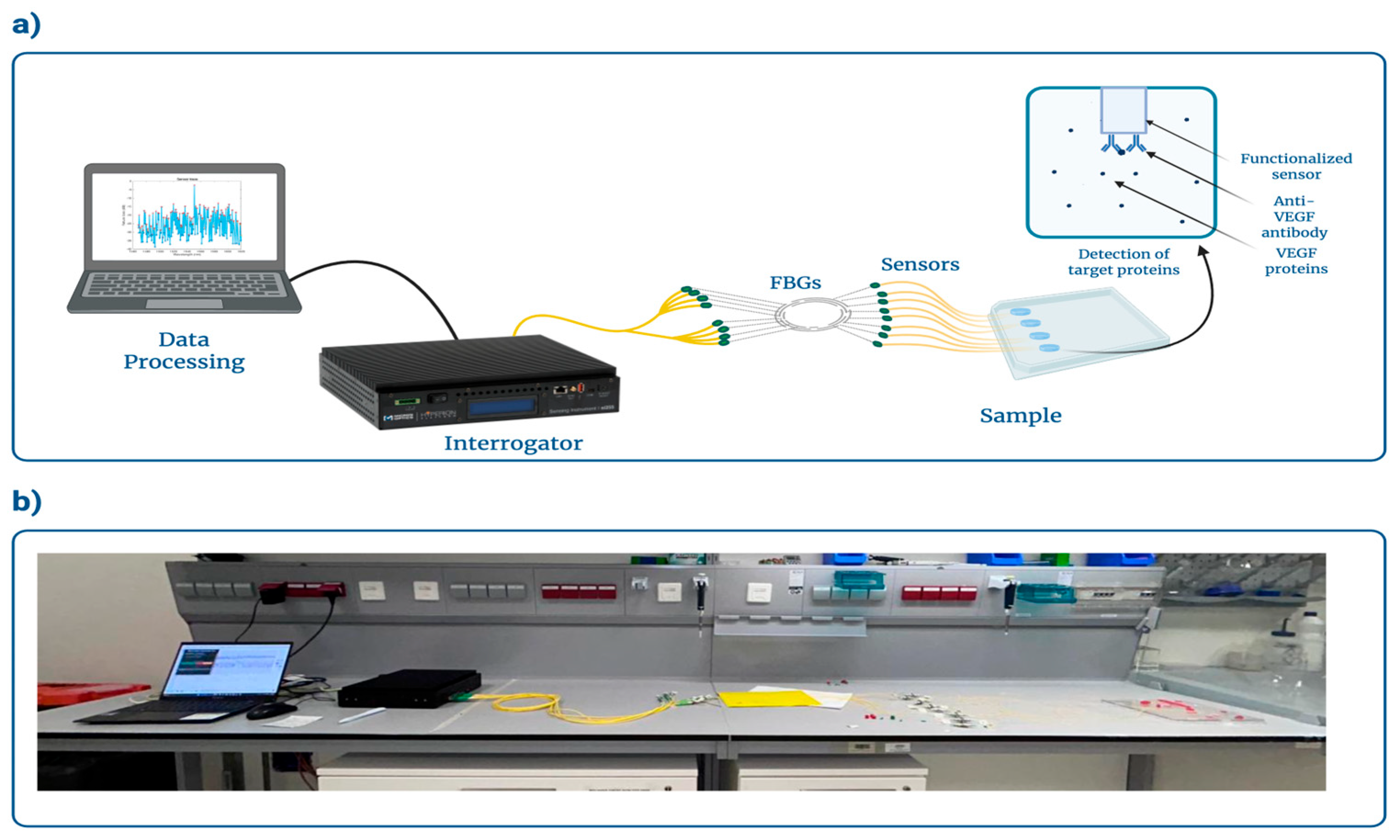 Biosensors 16 00286 g003 Biosensors 16 00286 g003