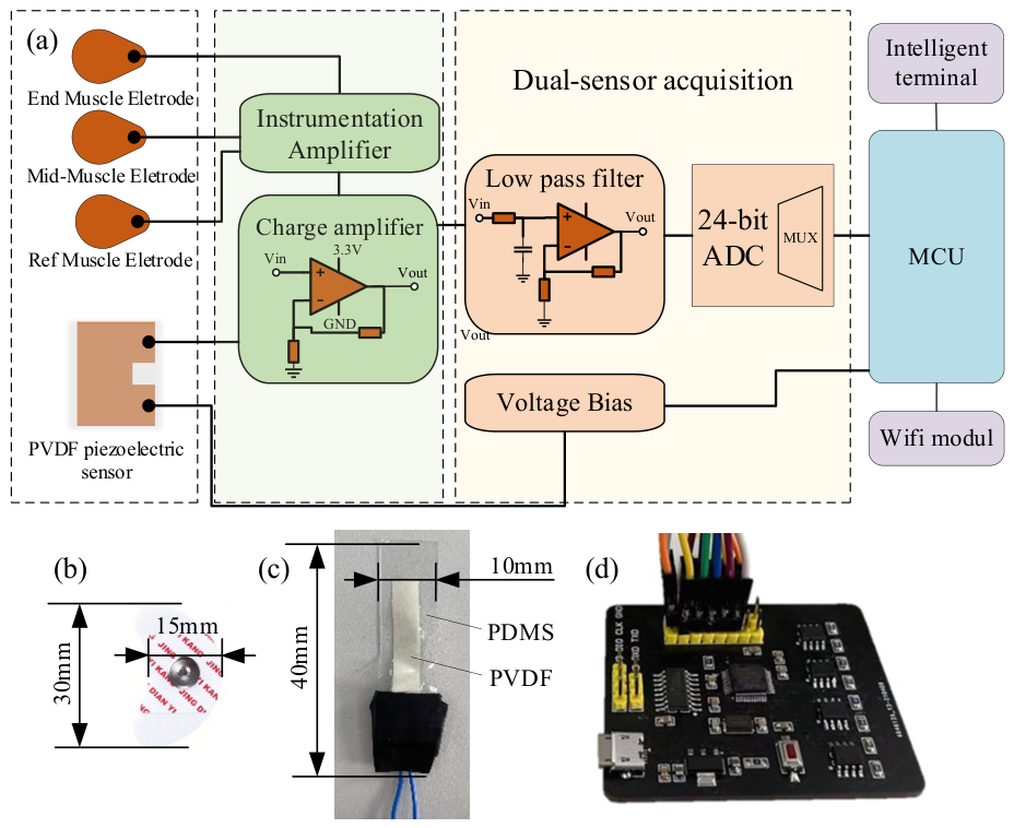 Biosensors 16 00301 g002 Biosensors 16 00301 g002