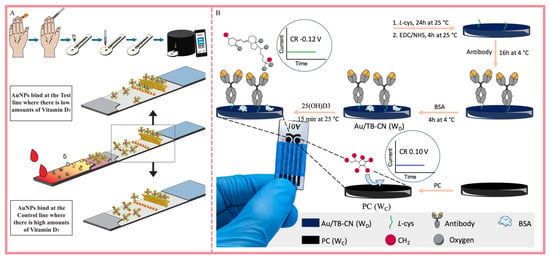 Biosensors 16 00314 g006
