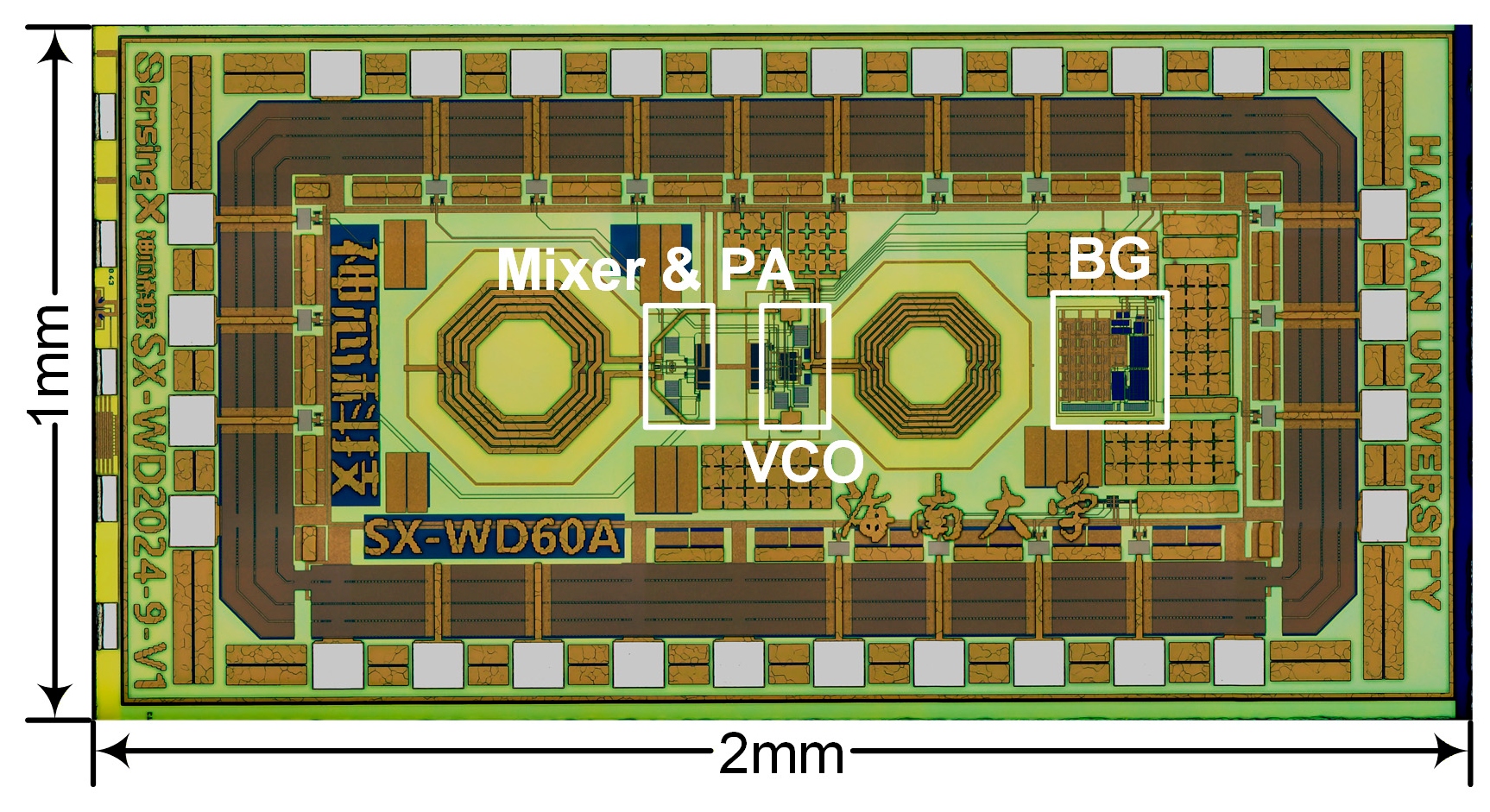 Biosensors 16 00405 g004 Biosensors 16 00405 g004