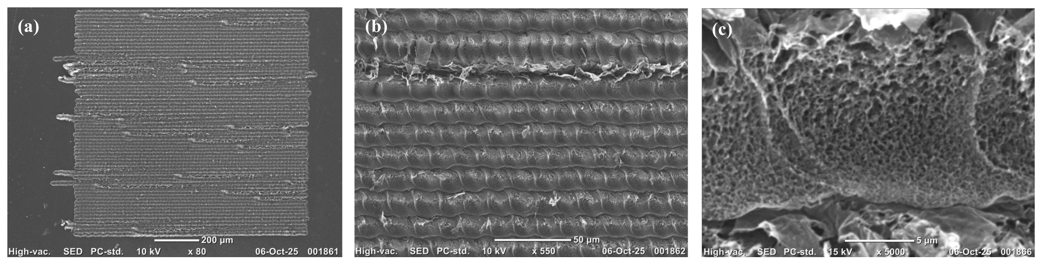 Biosensors 16 00425 g005 Biosensors 16 00425 g005