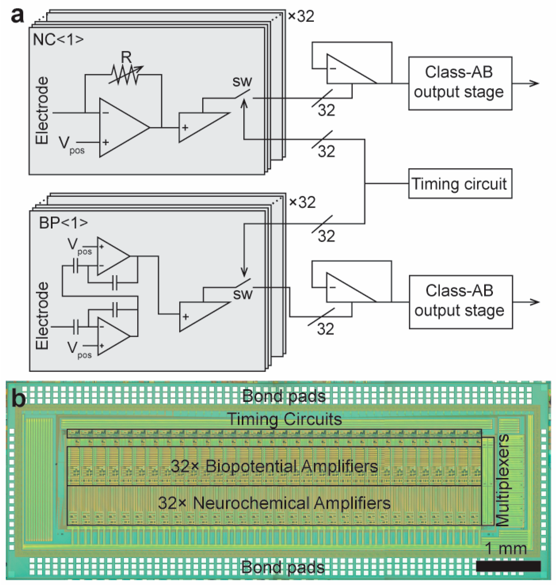 Biosensors 16 00466 g004 Biosensors 16 00466 g004