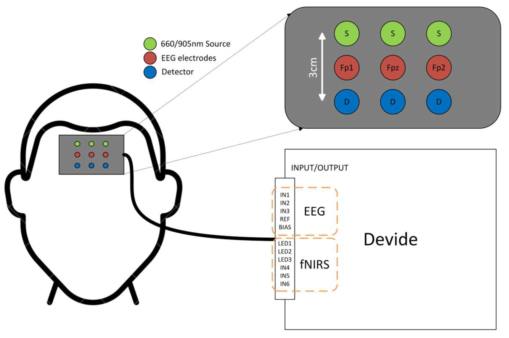 Biosensors 16 00478 g001