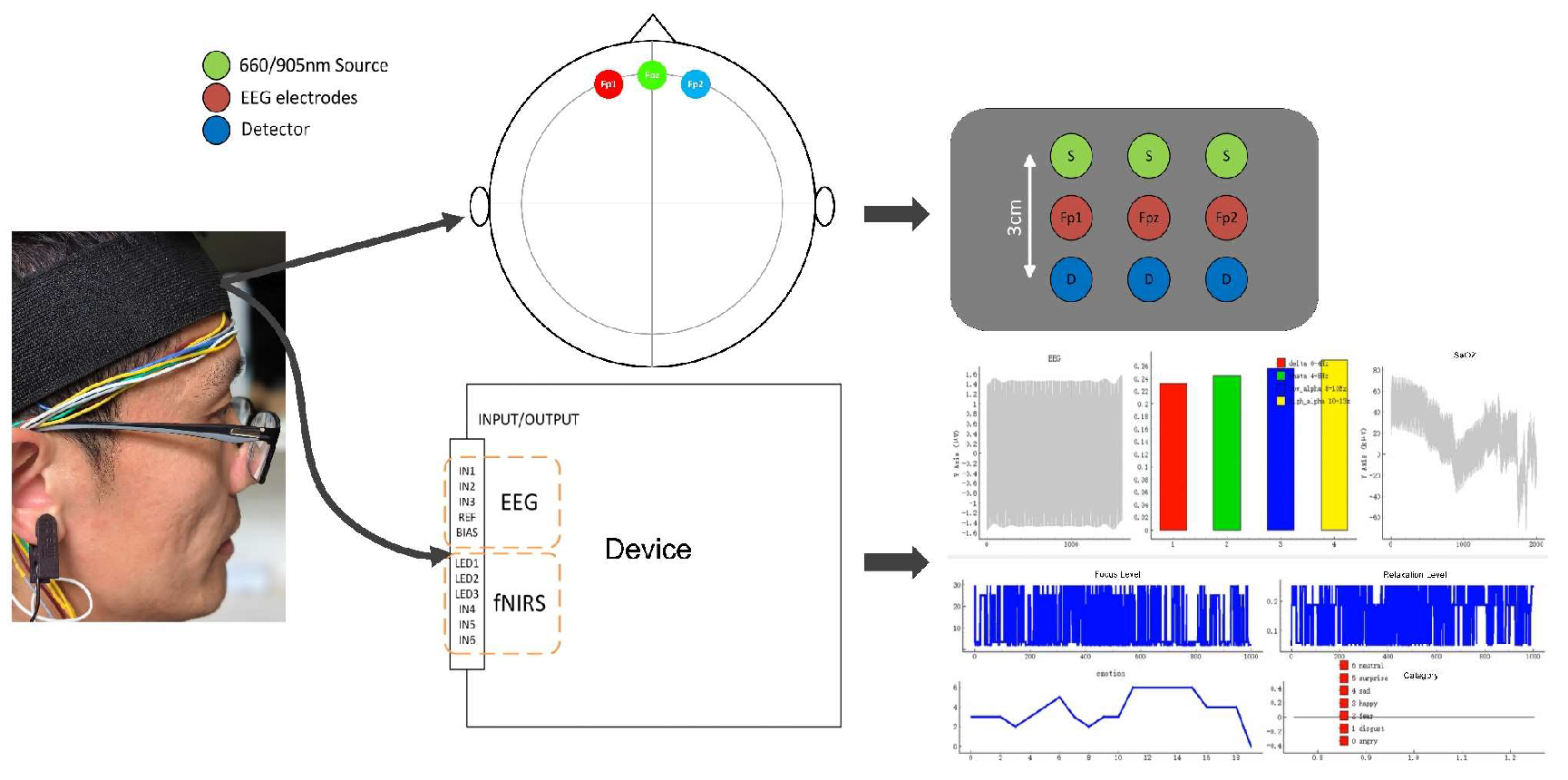 Biosensors 16 00478 g003
