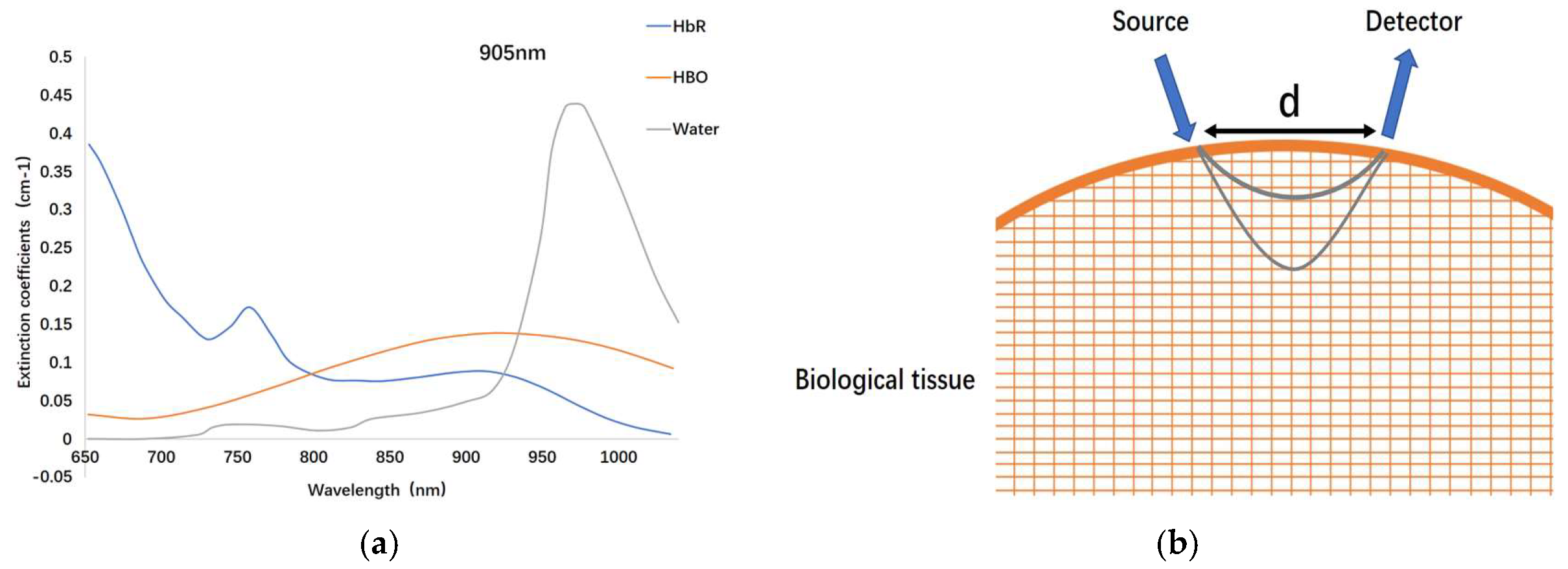 Biosensors 16 00478 g004