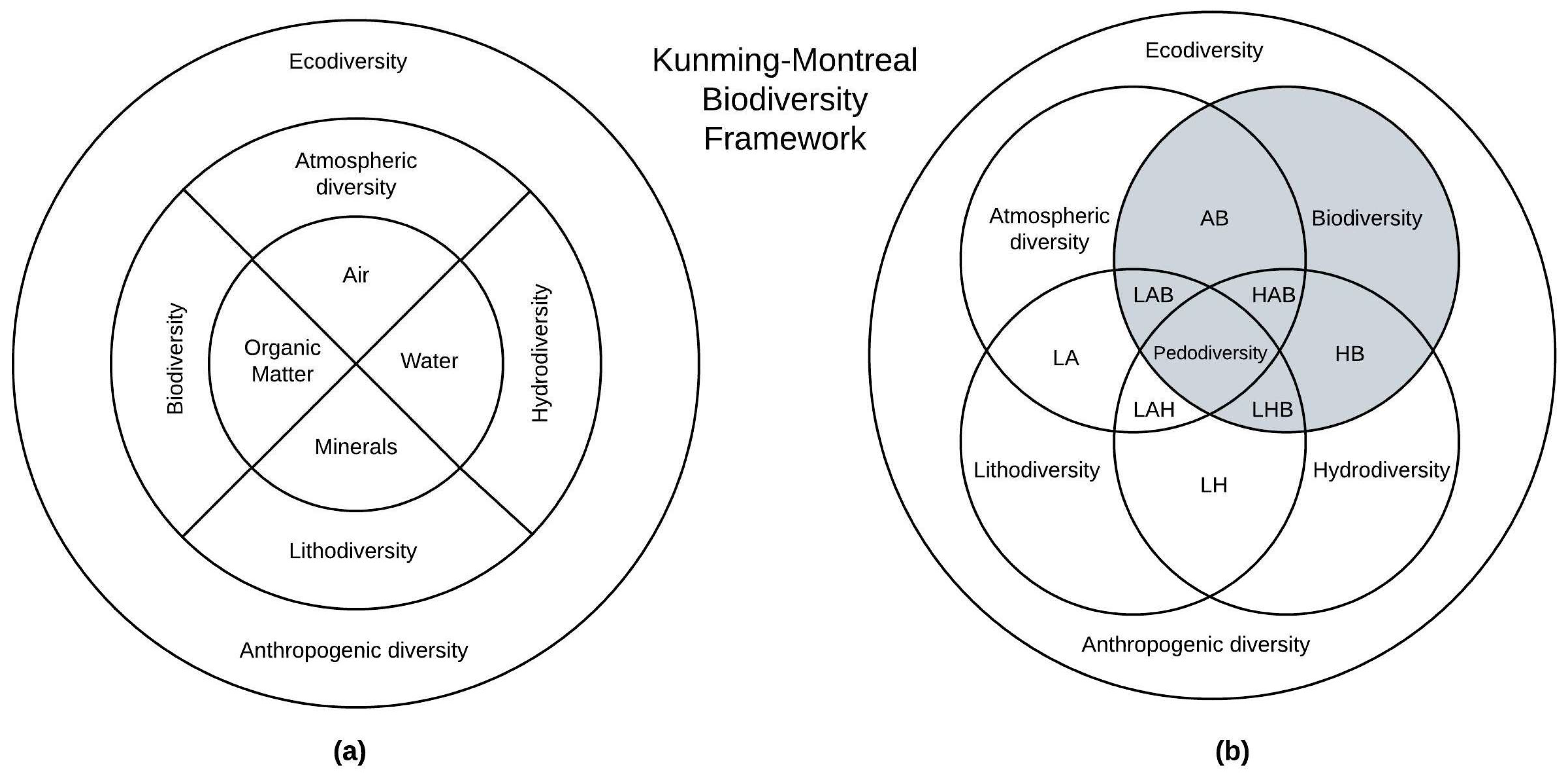 Biosphere 01 00003 g001