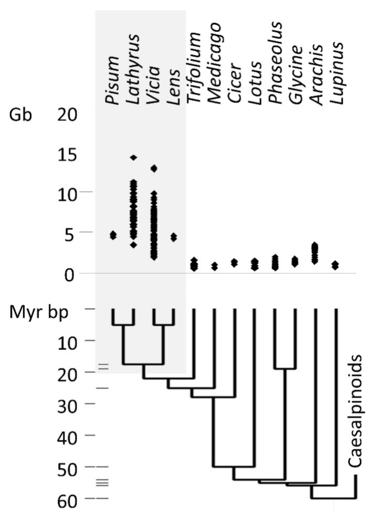 Biotech 09 00024 g001