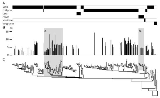 Biotech 09 00024 g0a1