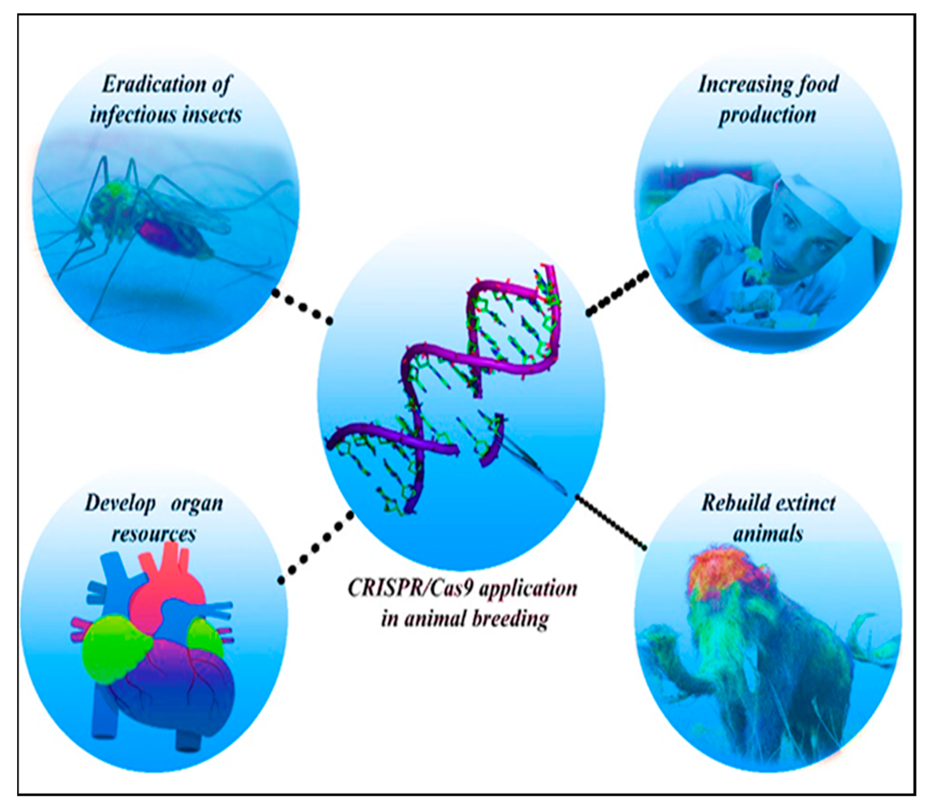 Biotech 10 00014 g003