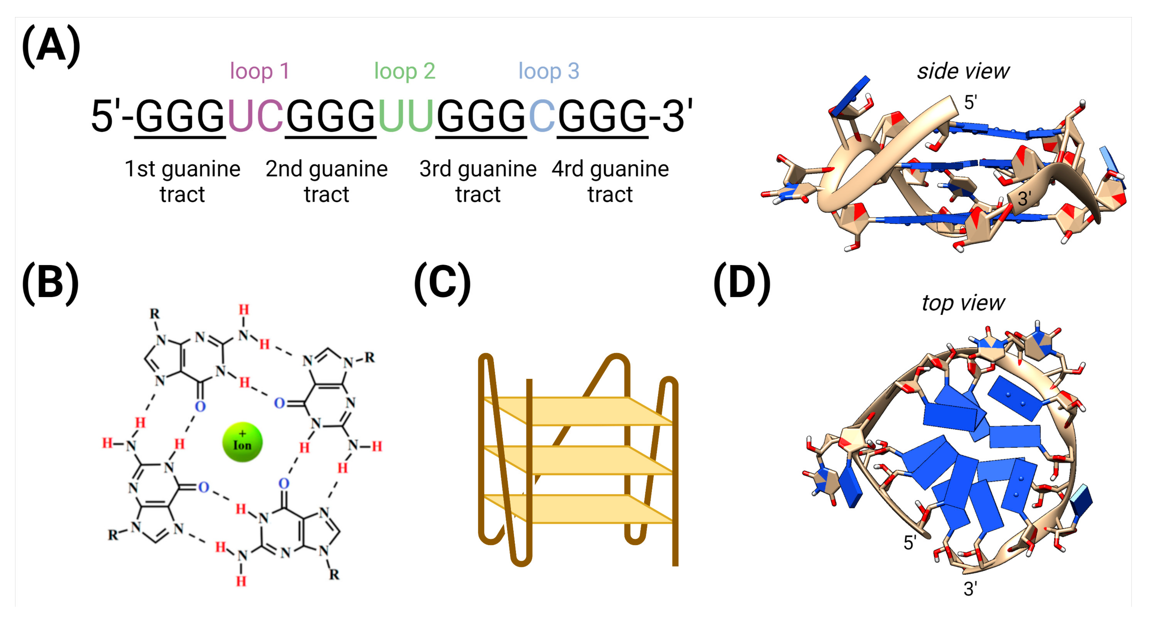 Biotech 10 00020 g001 Biotech 10 00020 g001