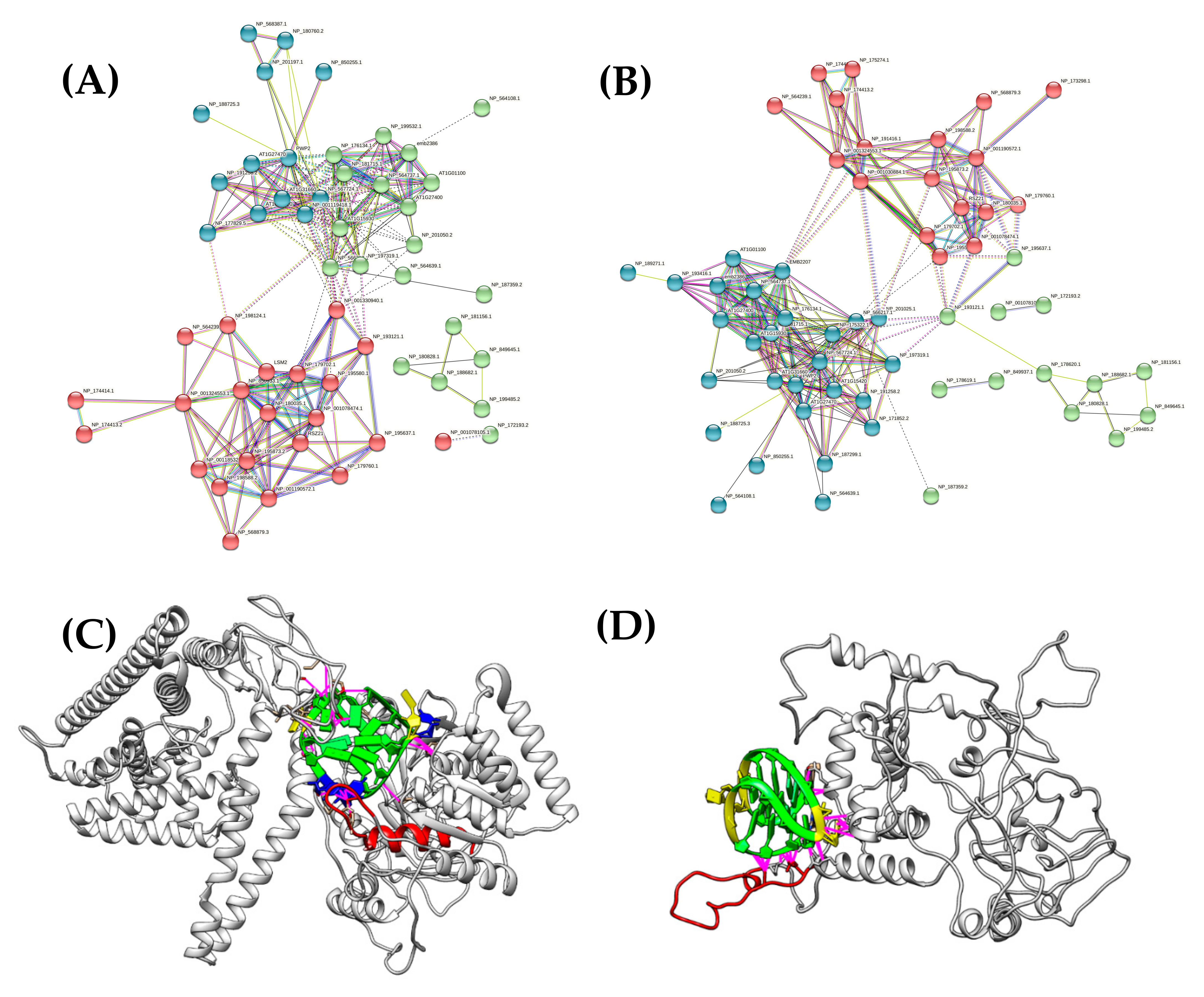 Biotech 10 00020 g002 Biotech 10 00020 g002