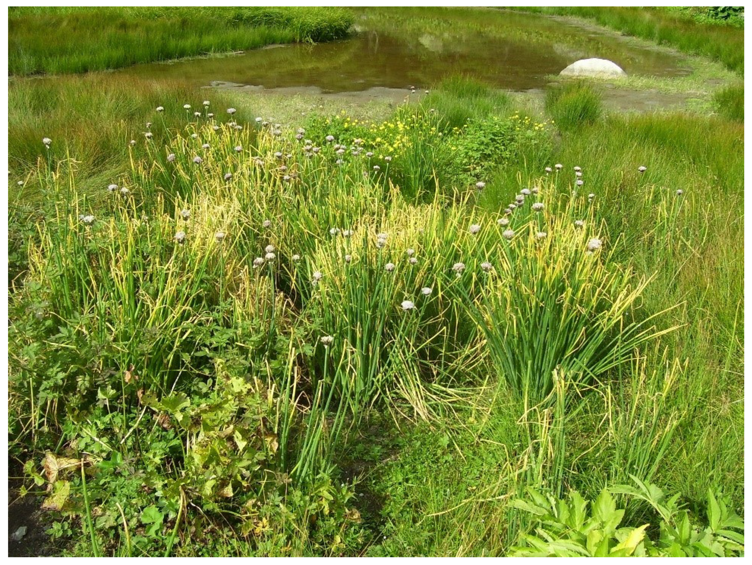 Biotech 10 00023 g003