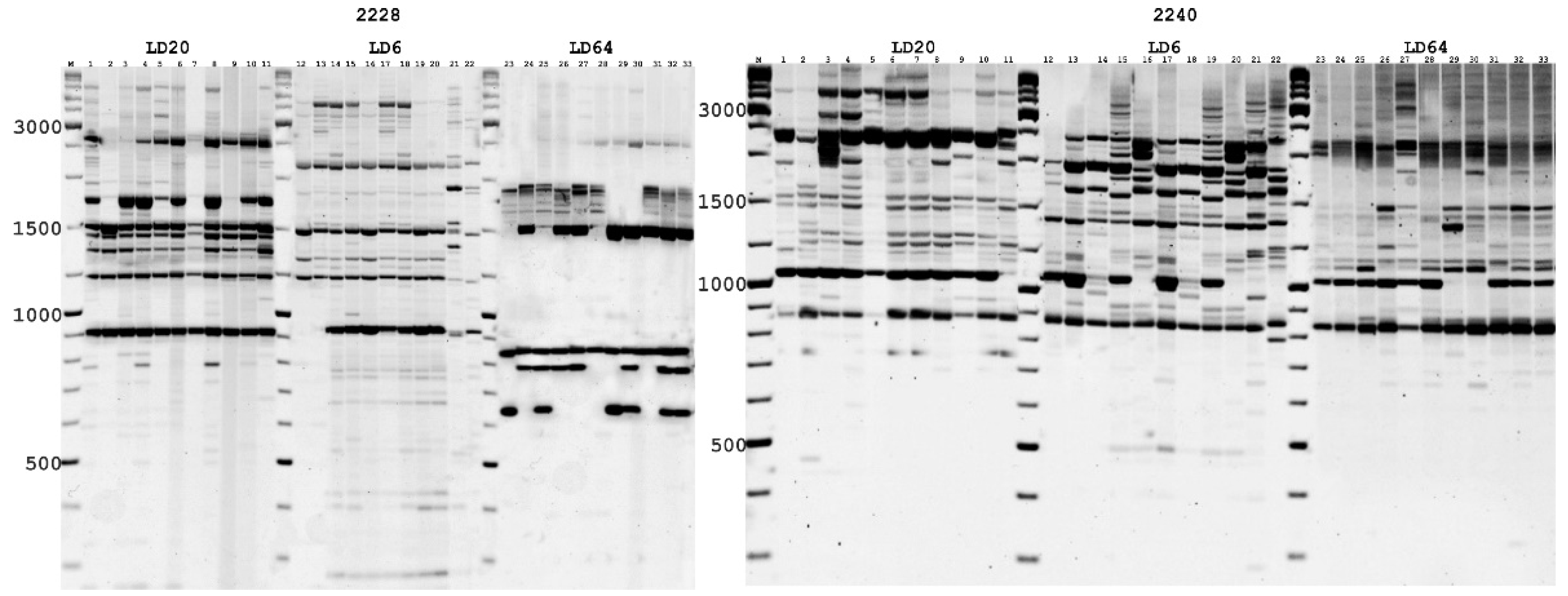 Biotech 10 00023 g004