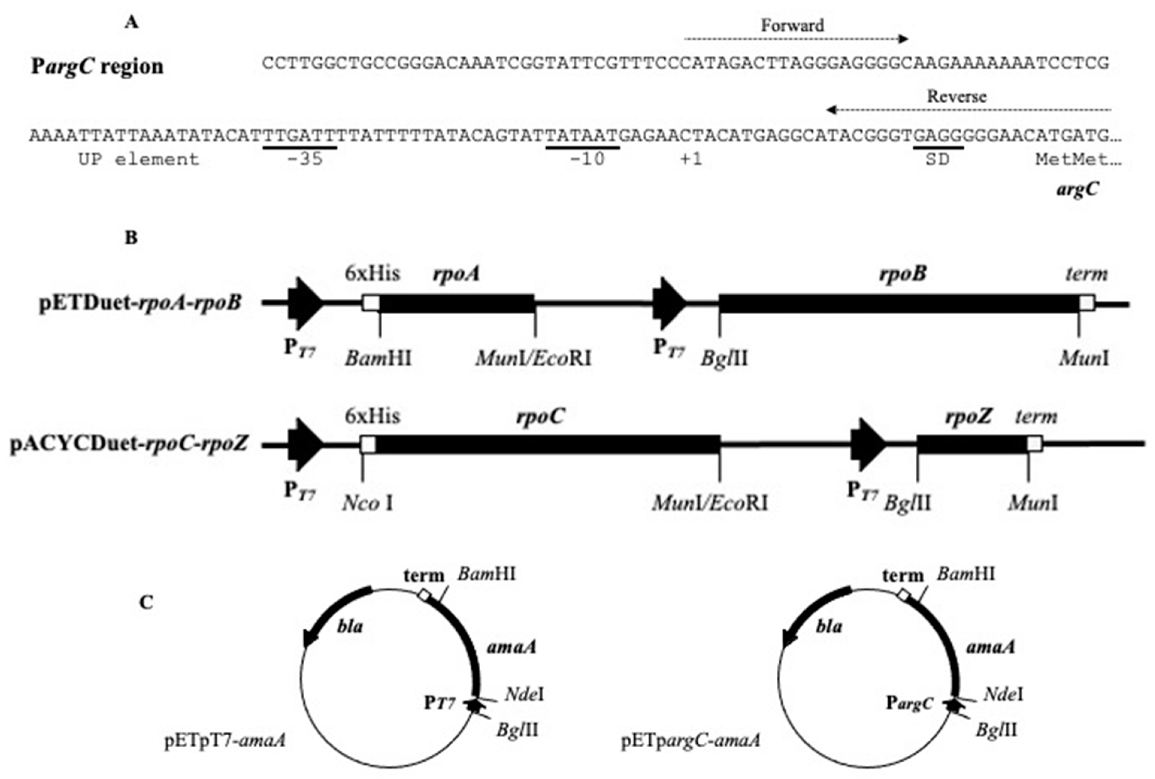 Biotech 10 00024 g001