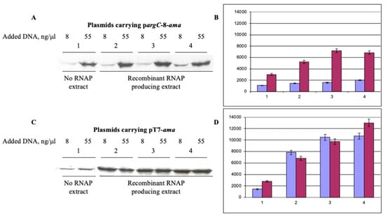 Biotech 10 00024 g004