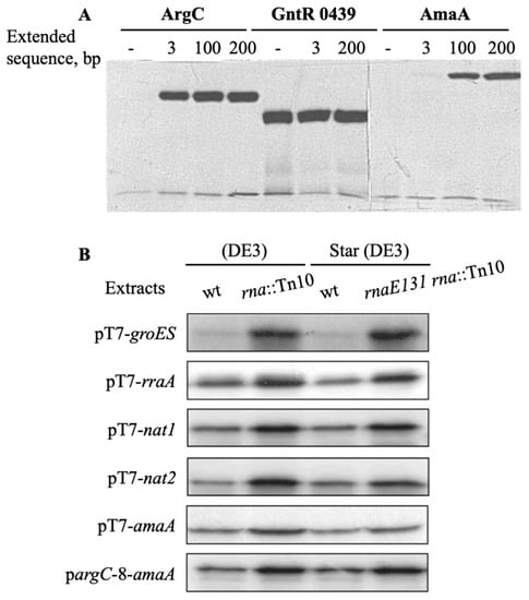 Biotech 10 00024 g005