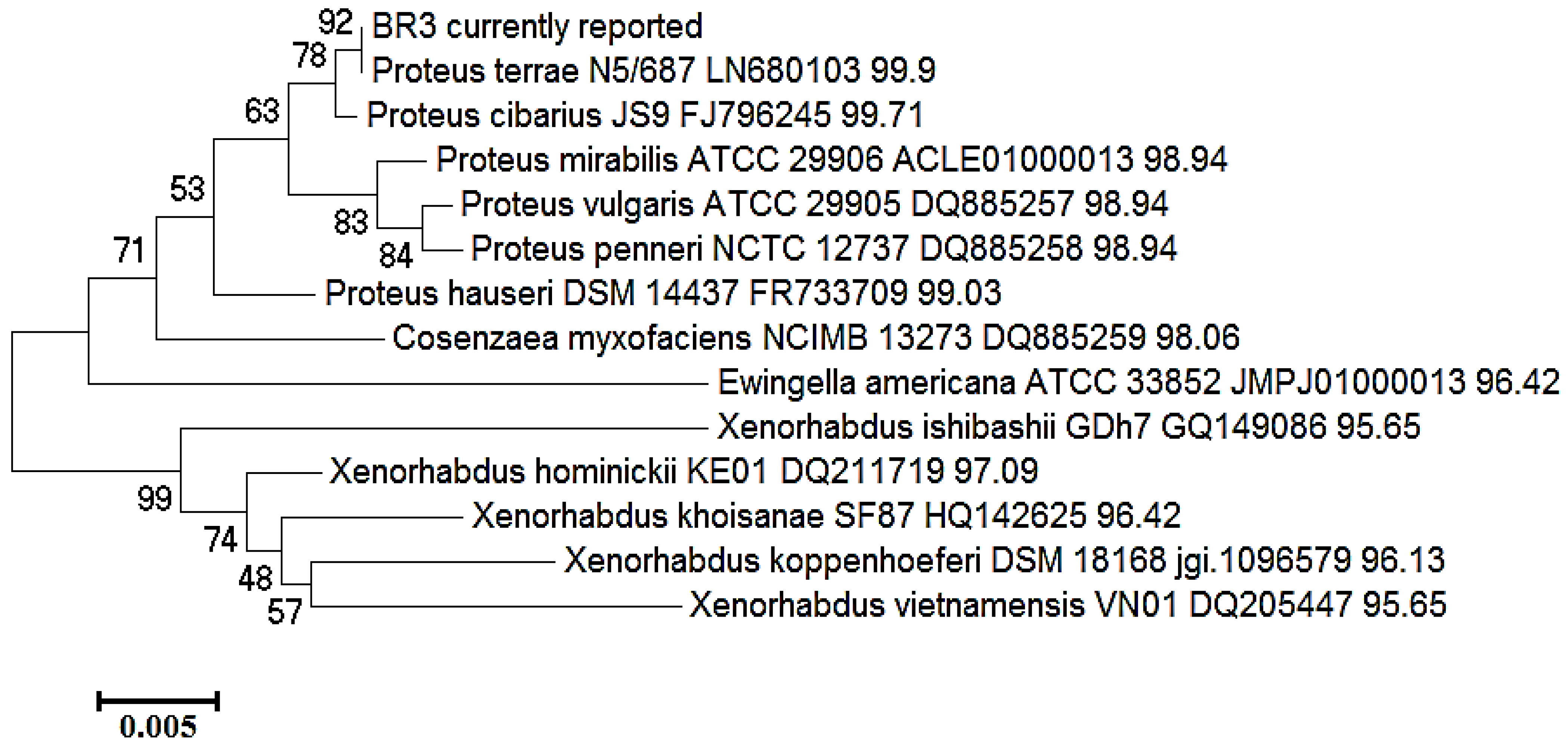 Biotech 11 00004 g005