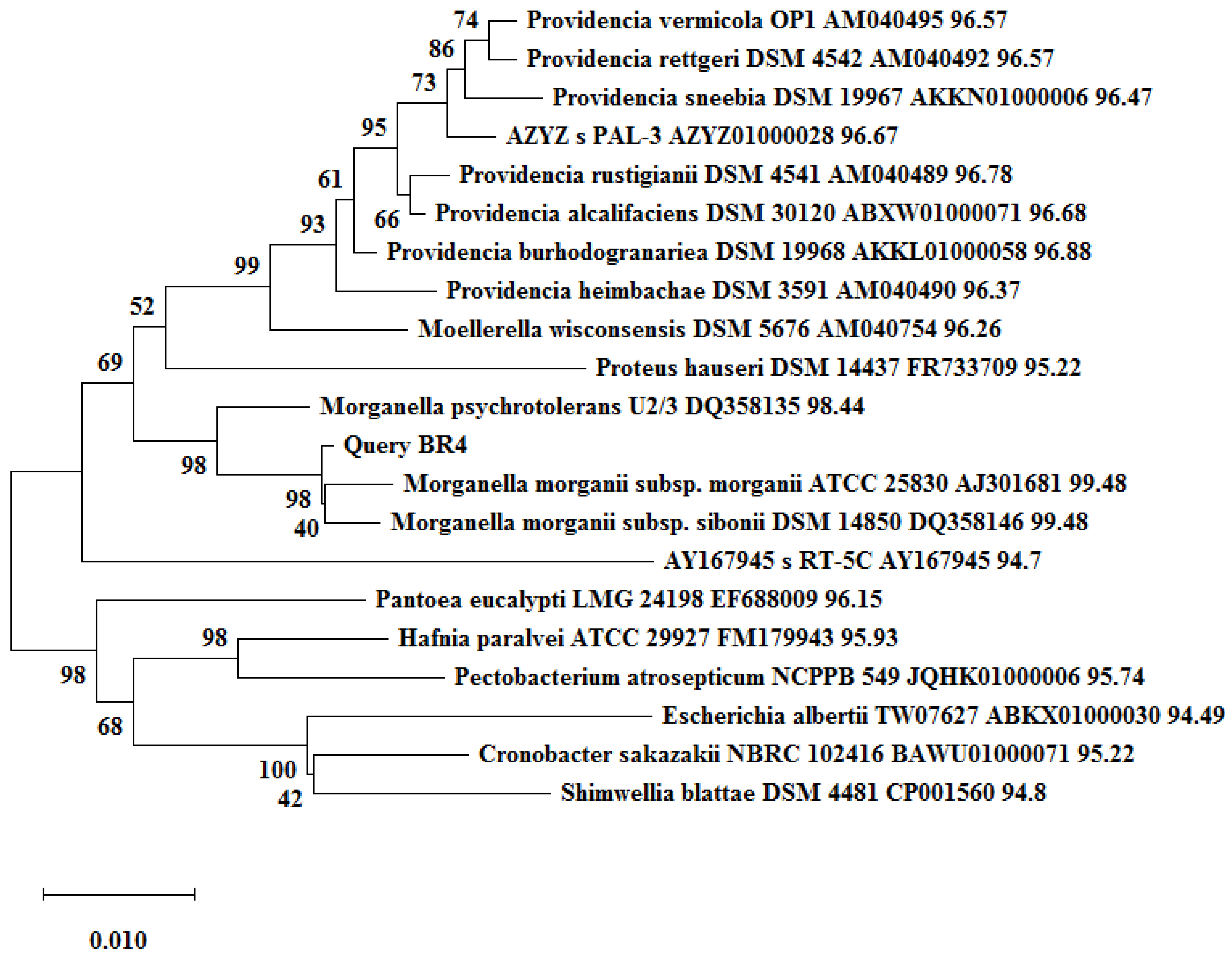Biotech 11 00004 g006