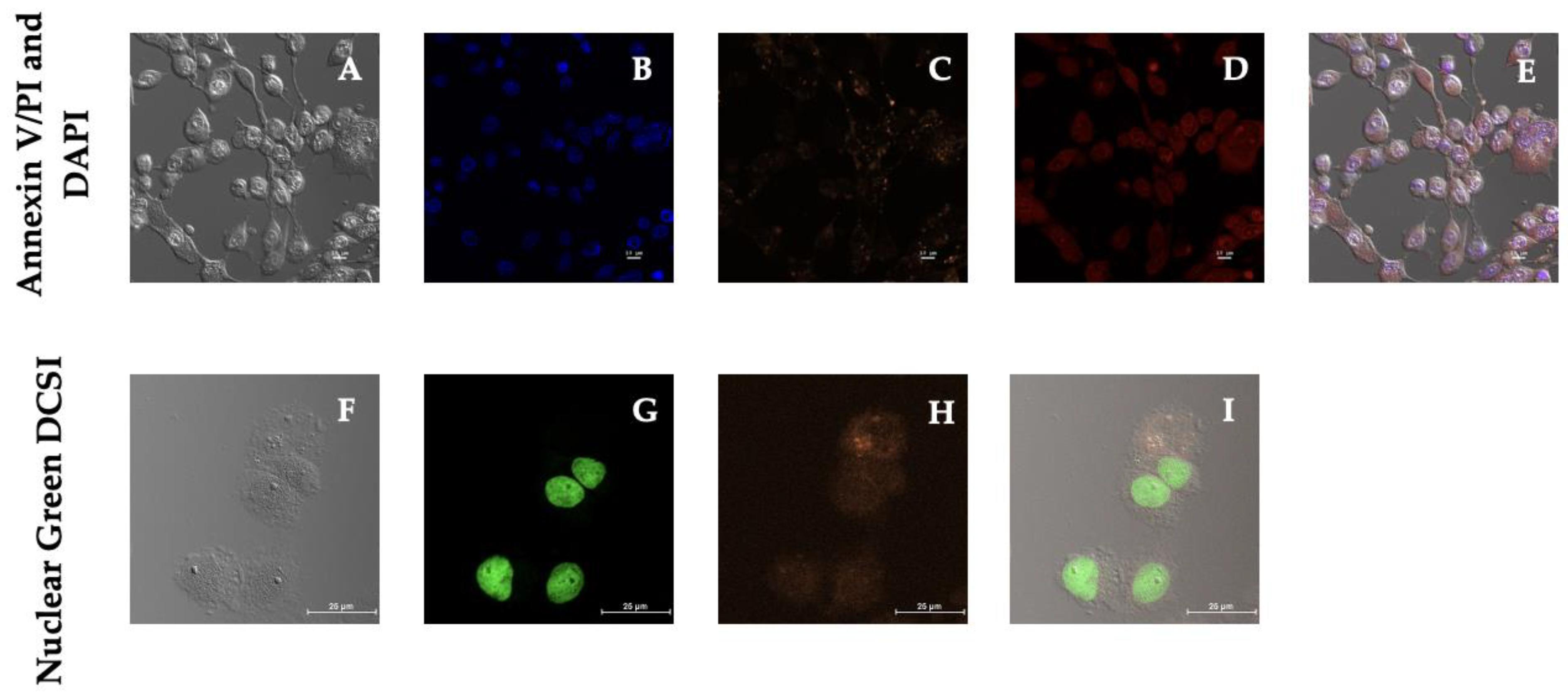 Biotech 11 00009 g007