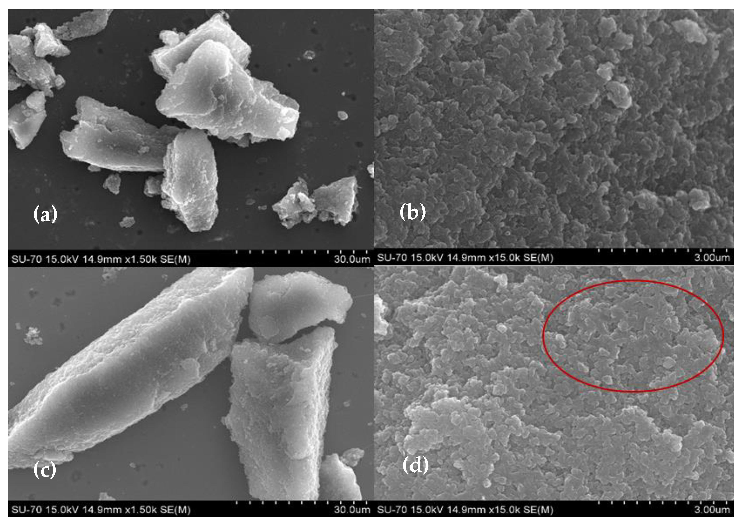 Biotech 11 00010 g001 Biotech 11 00010 g001