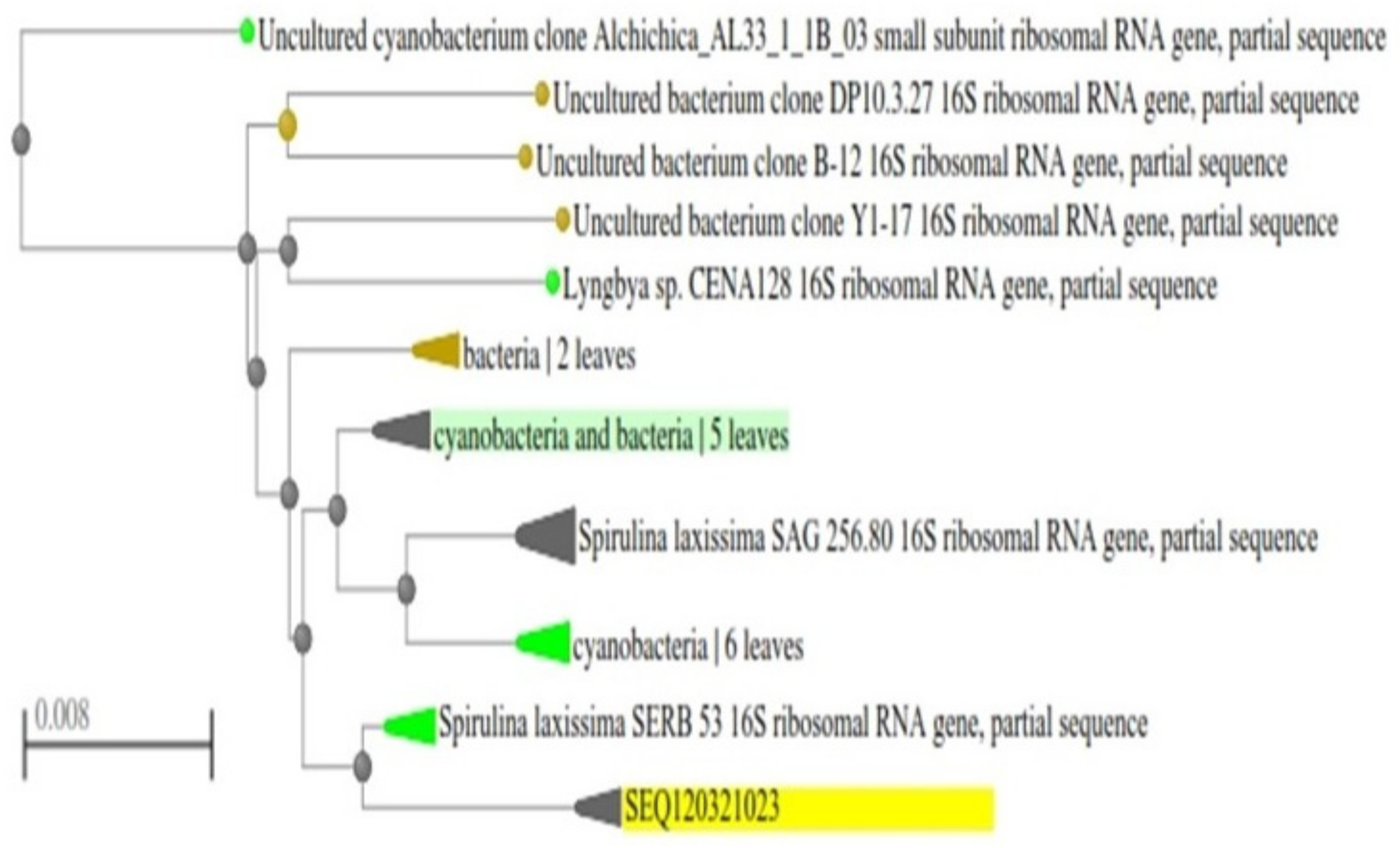 Biotech 11 00013 g003
