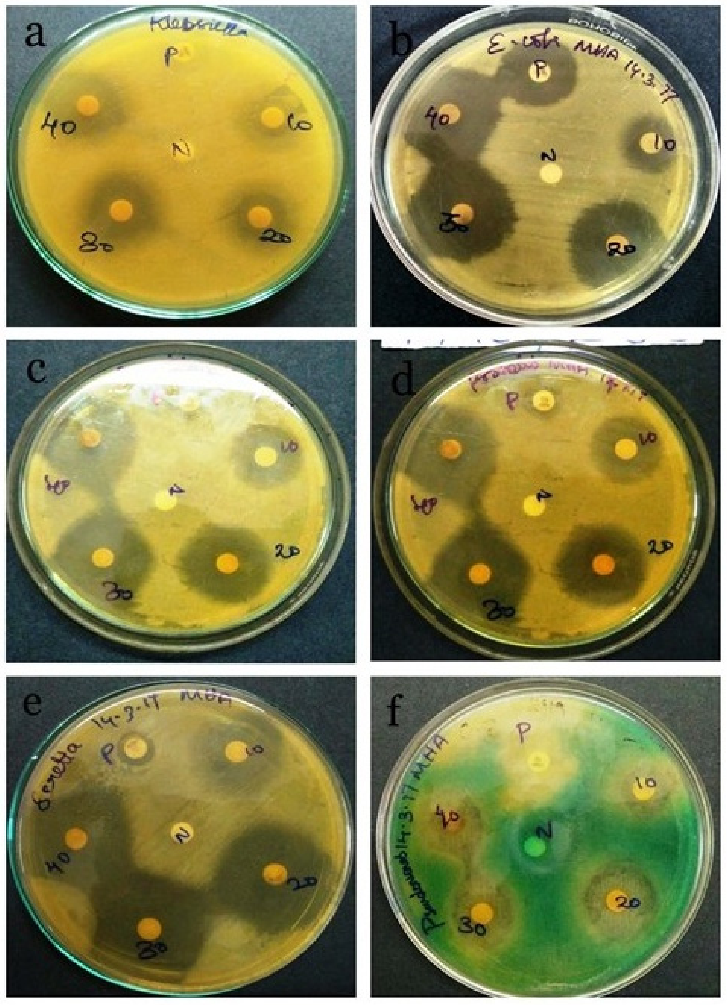 Biotech 11 00013 g008