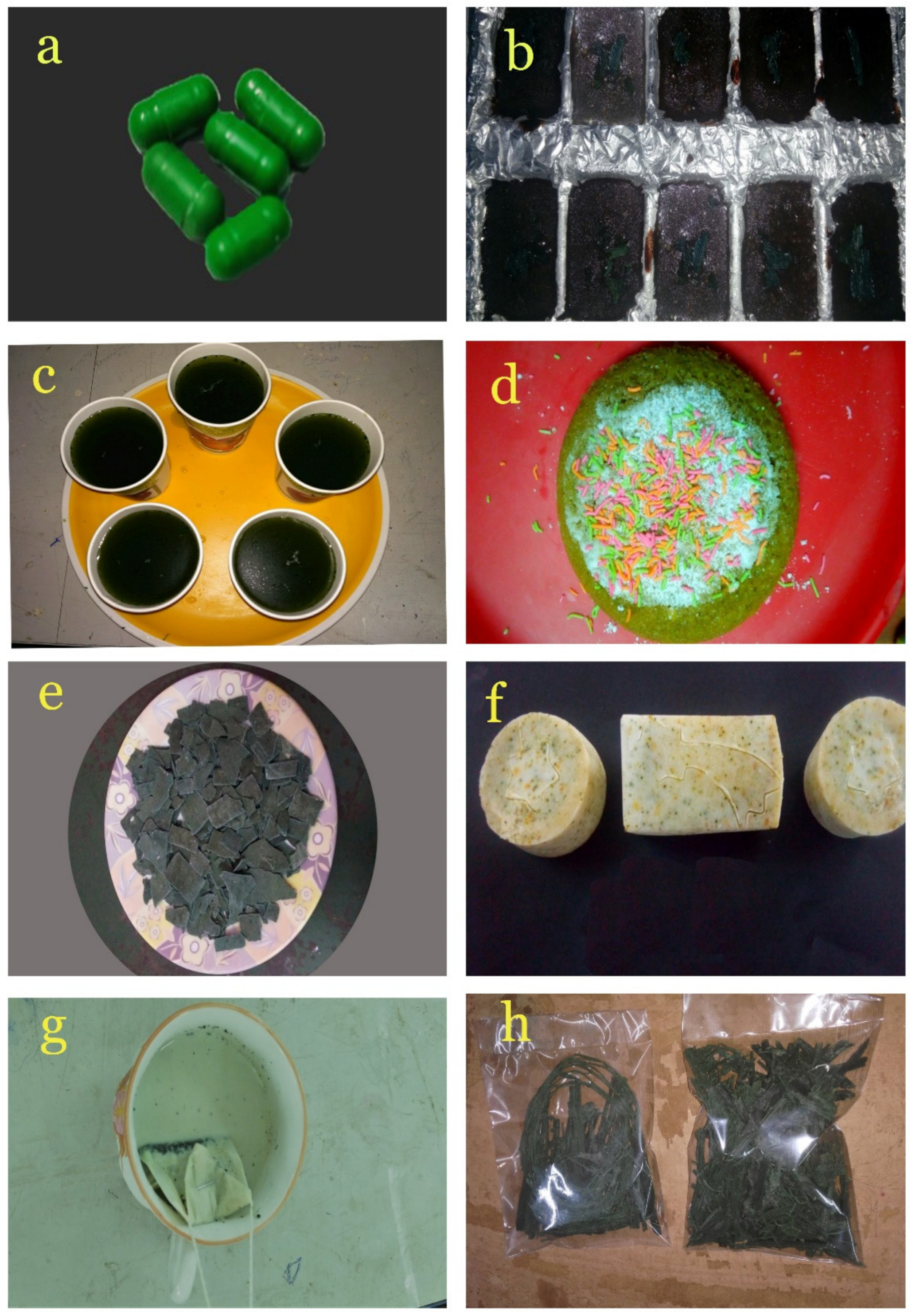 Biotech 11 00013 g010