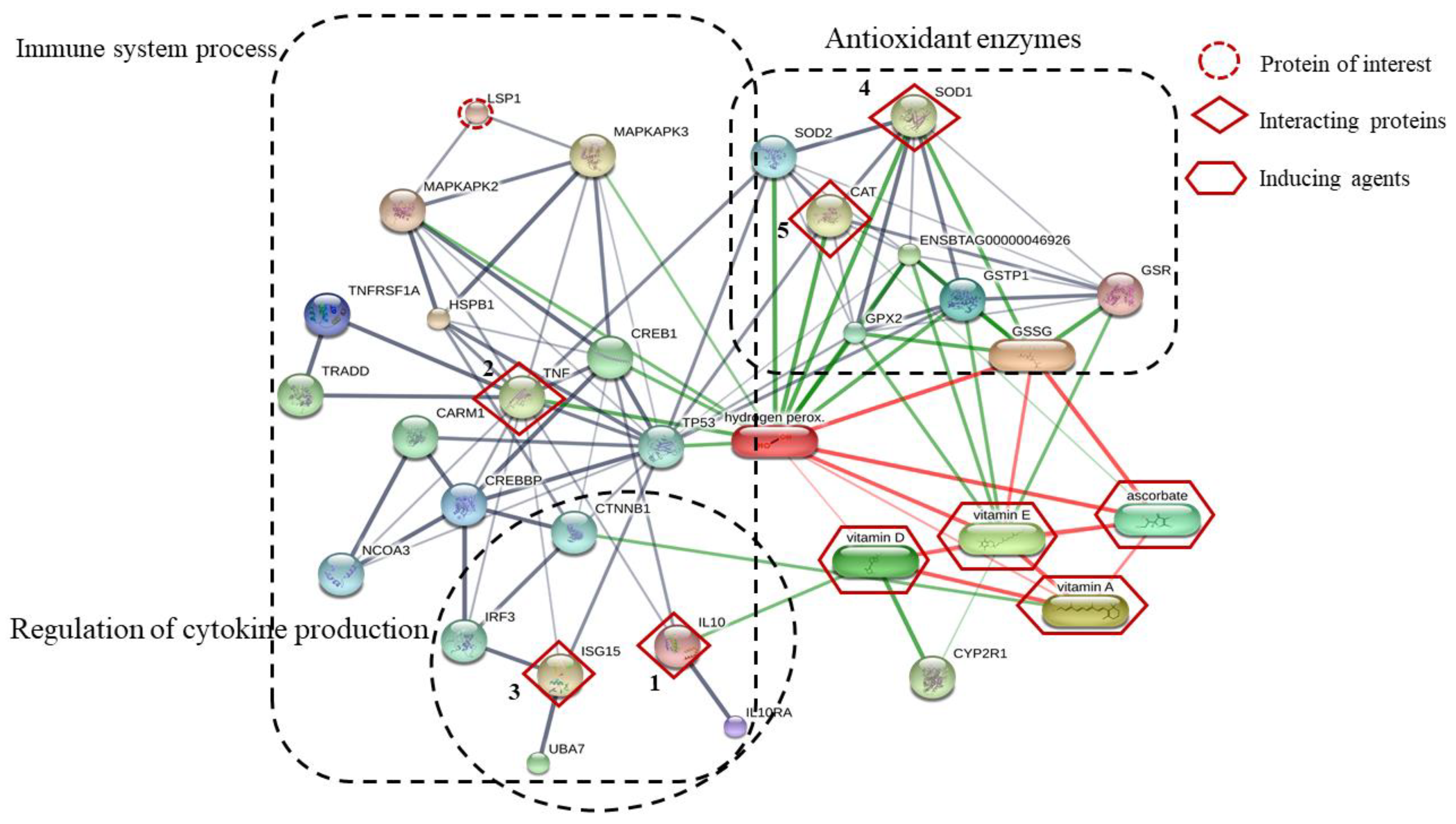 Biotech 11 00020 g005 Biotech 11 00020 g005