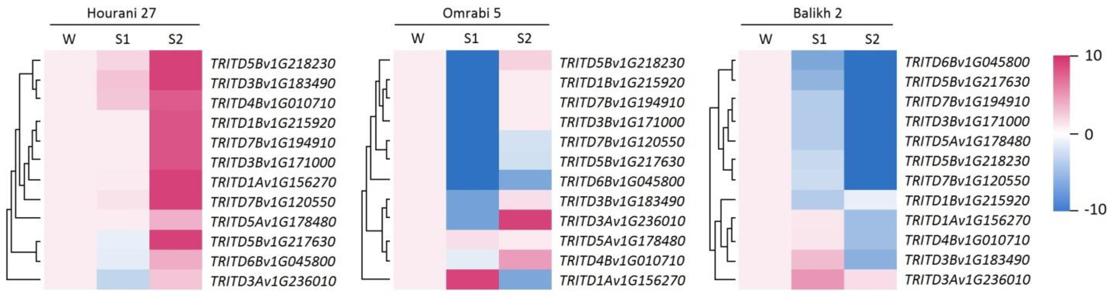 Biotech 11 00043 g005 Biotech 11 00043 g005