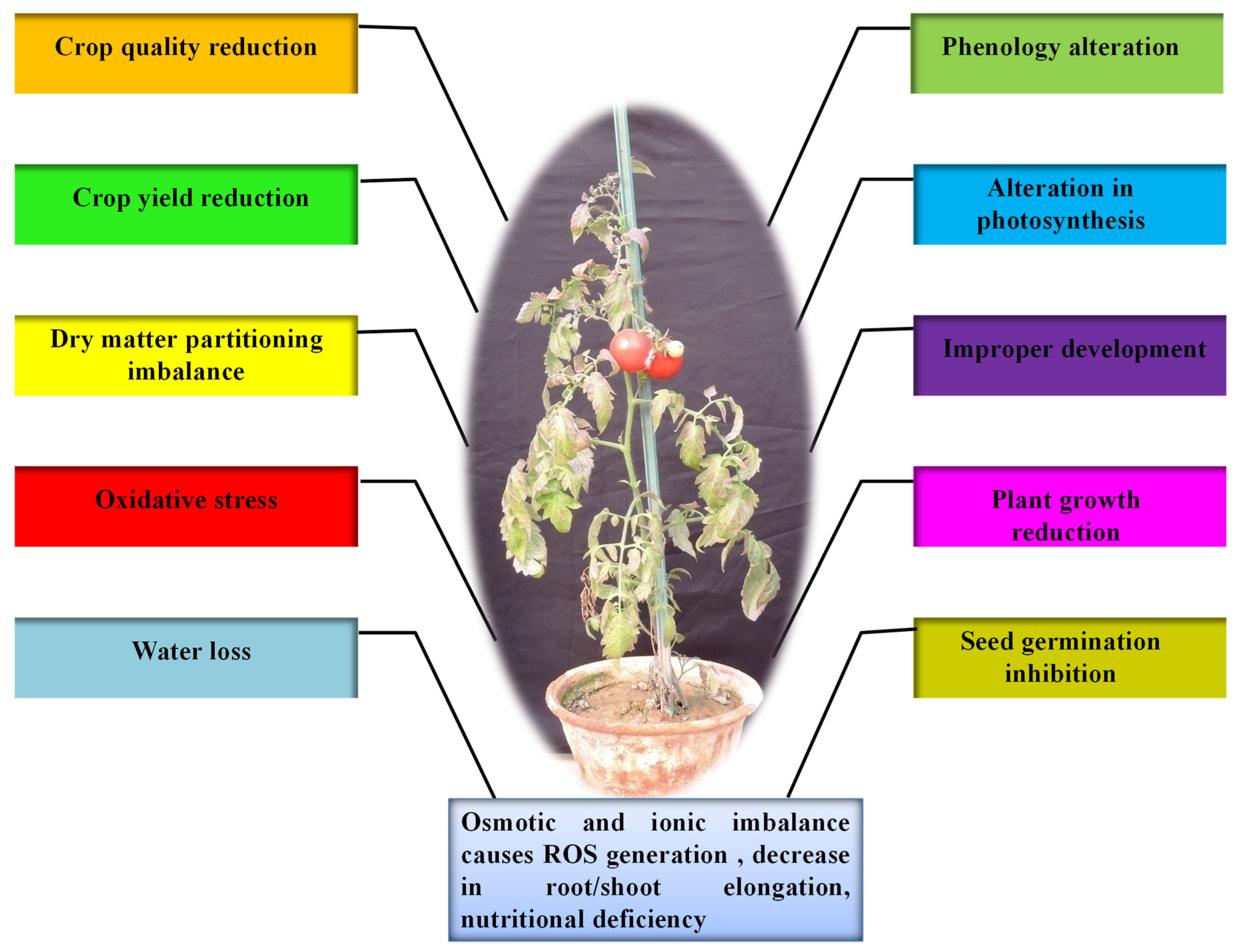 Biotech 11 00048 g001