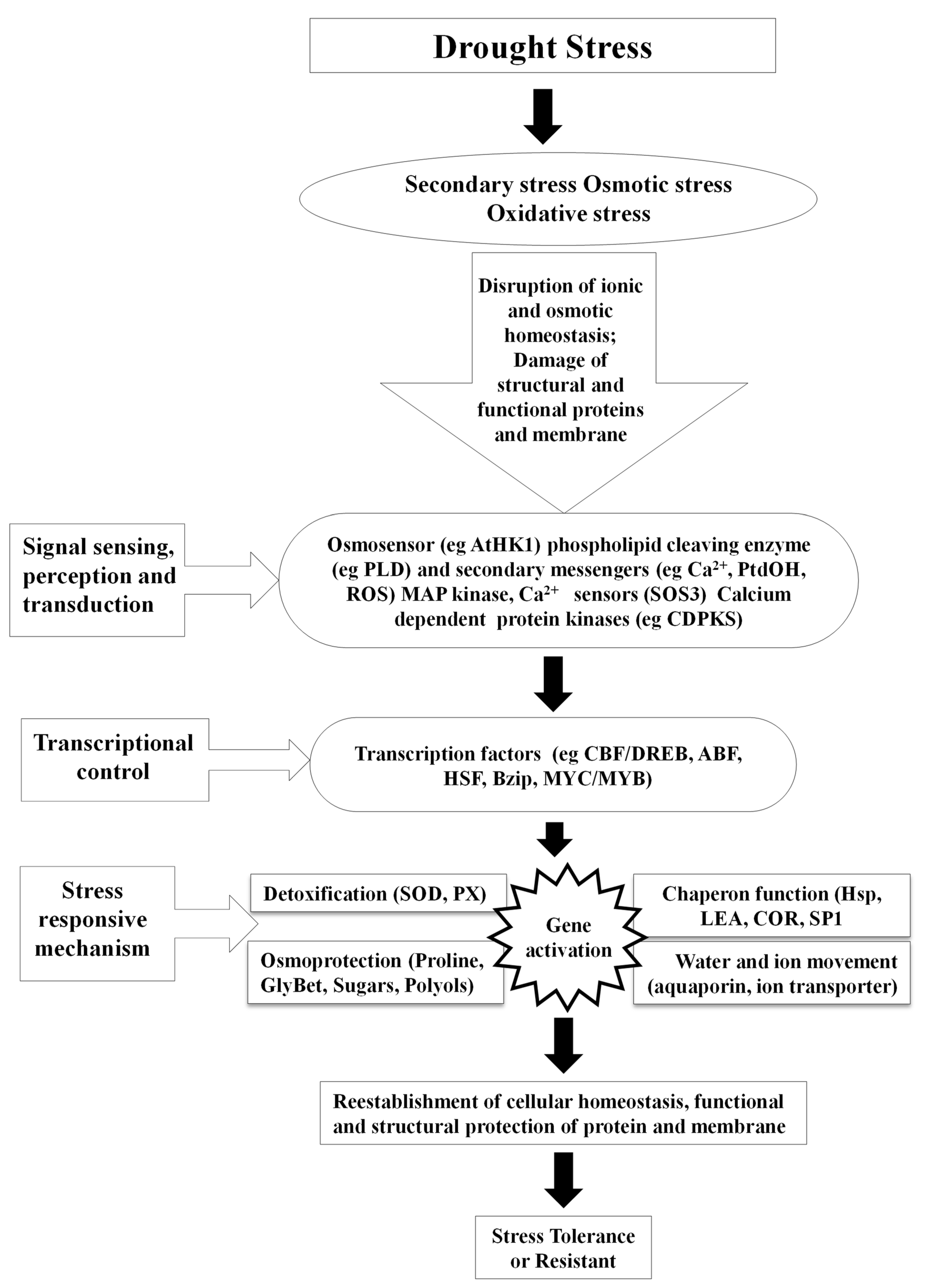 Biotech 11 00048 g002