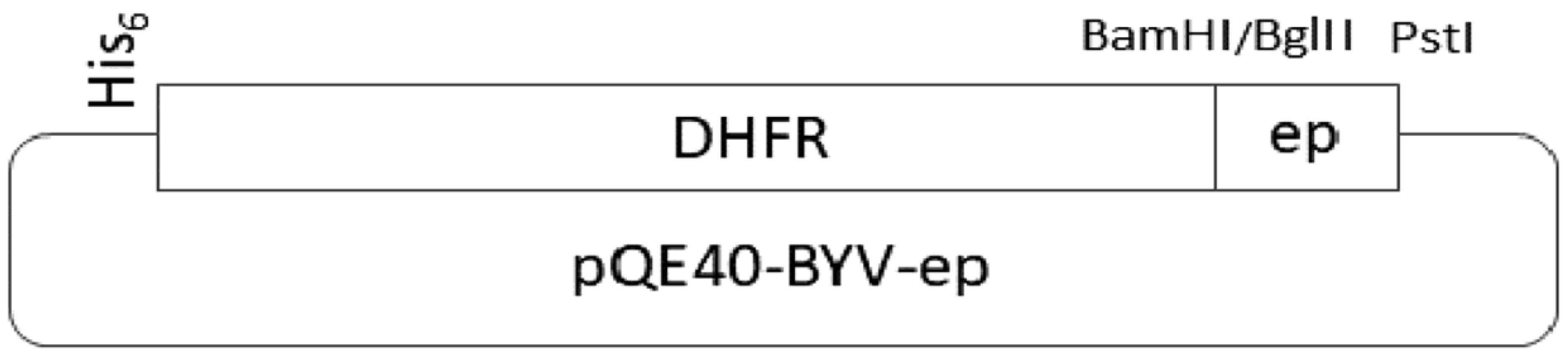 Biotech 11 00052 g002