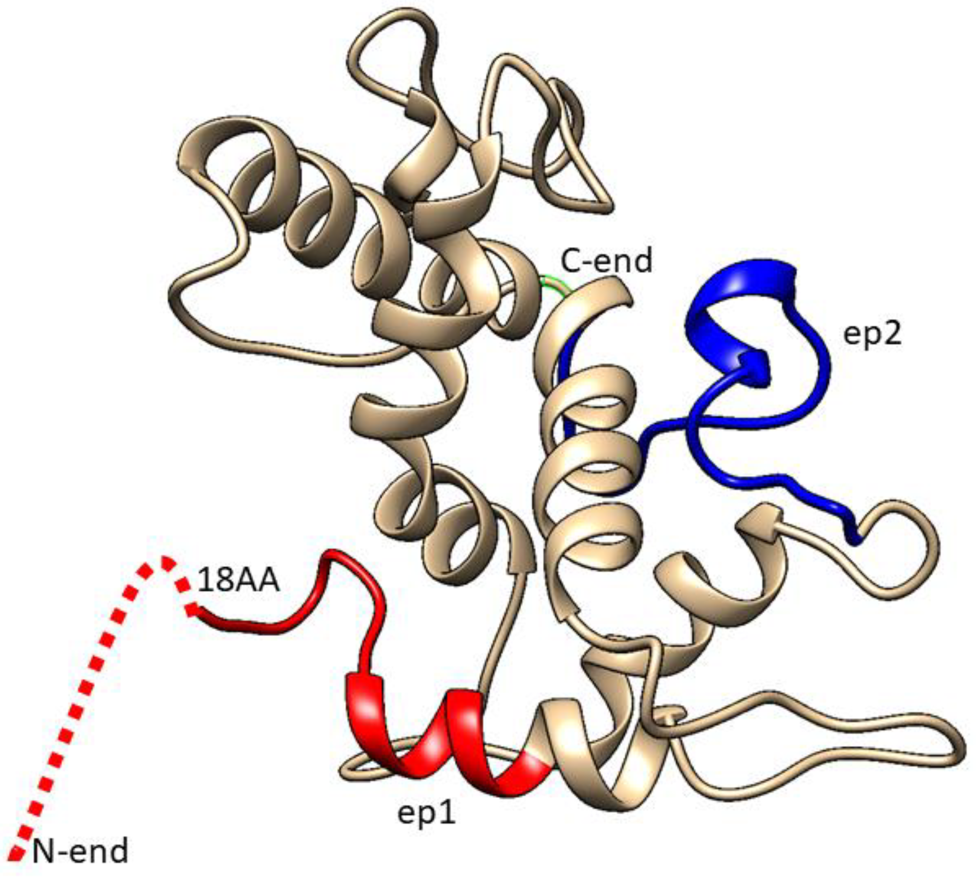 Biotech 11 00052 g003