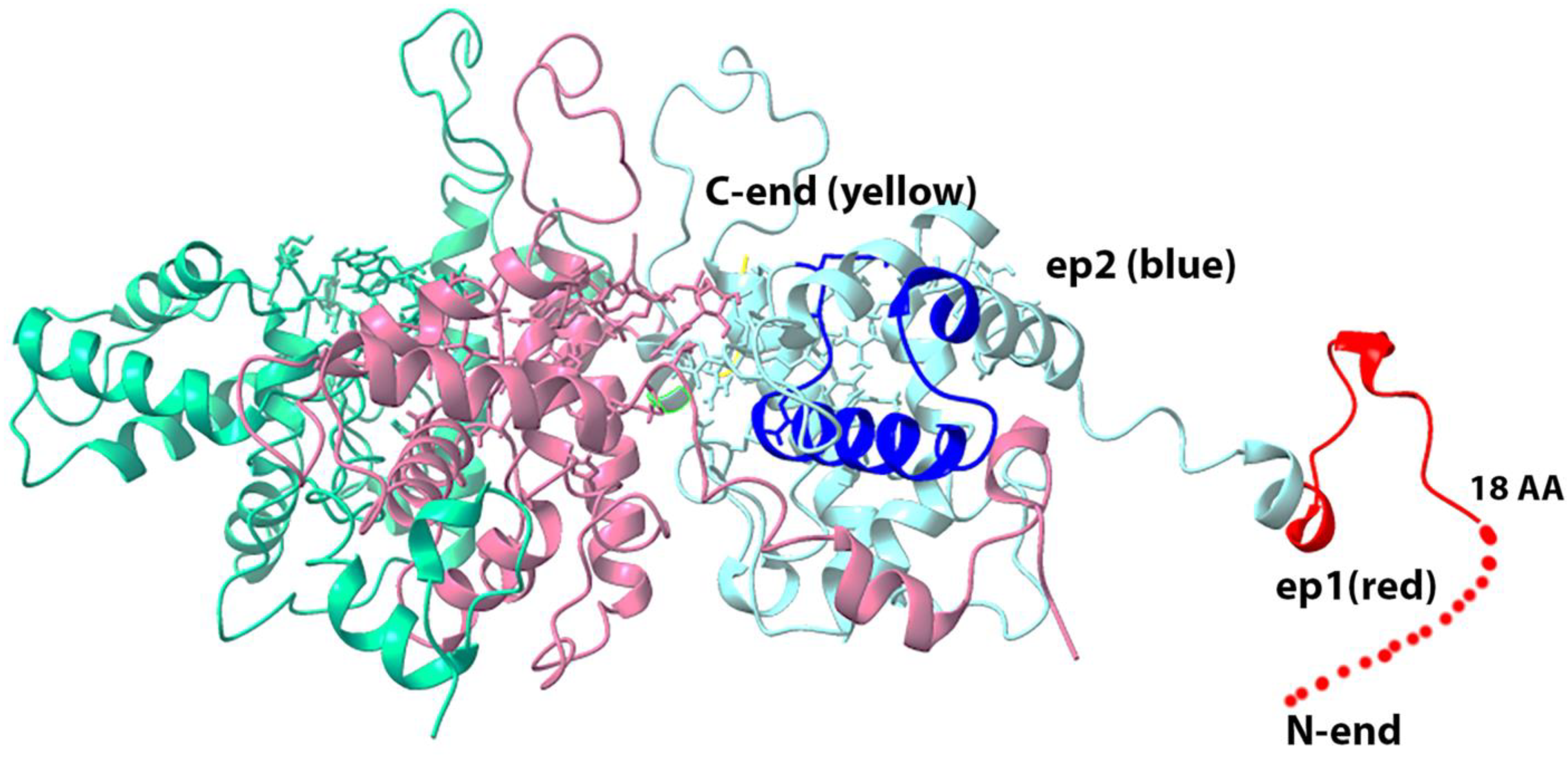 Biotech 11 00052 g004