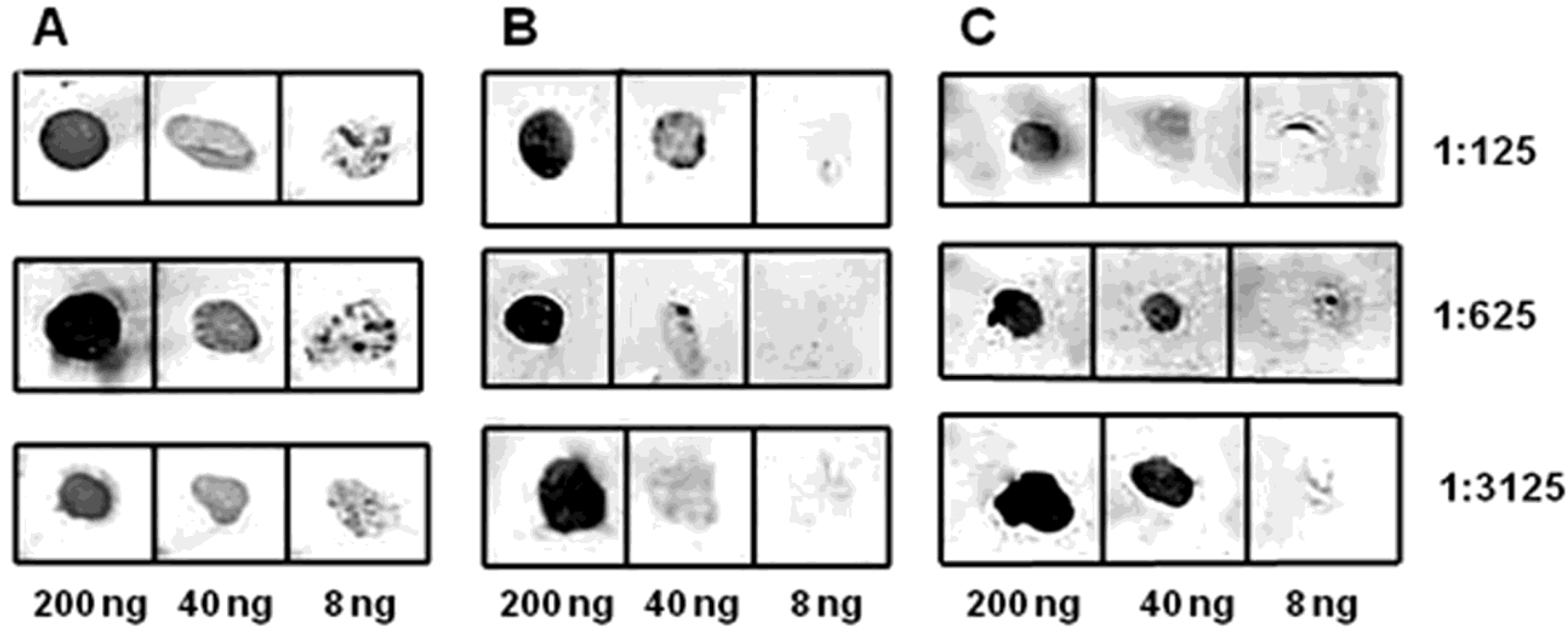 Biotech 11 00052 g006
