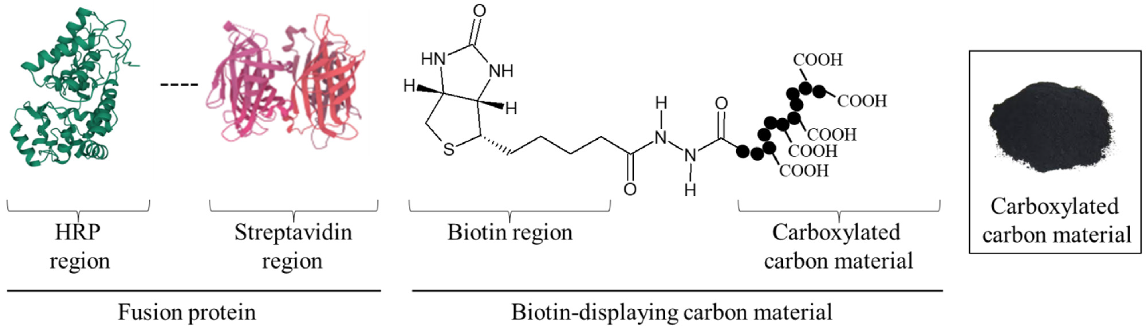 Biotech 12 00002 g001