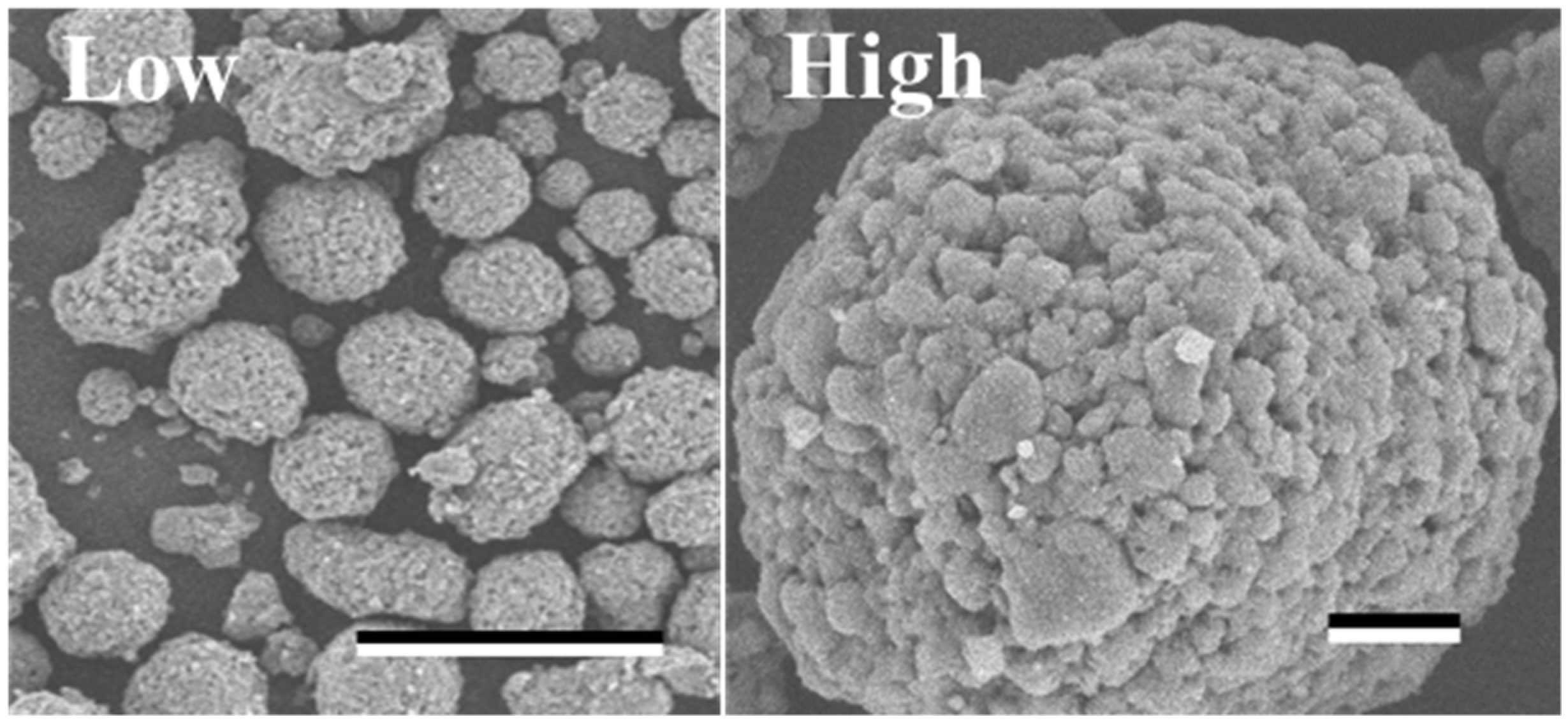 Biotech 12 00002 g002